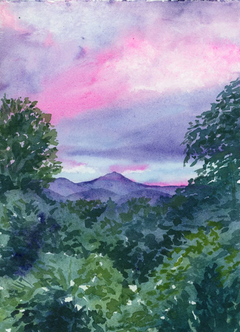 Purple Sunset on the Parkway_1764987533.54584.jpg
