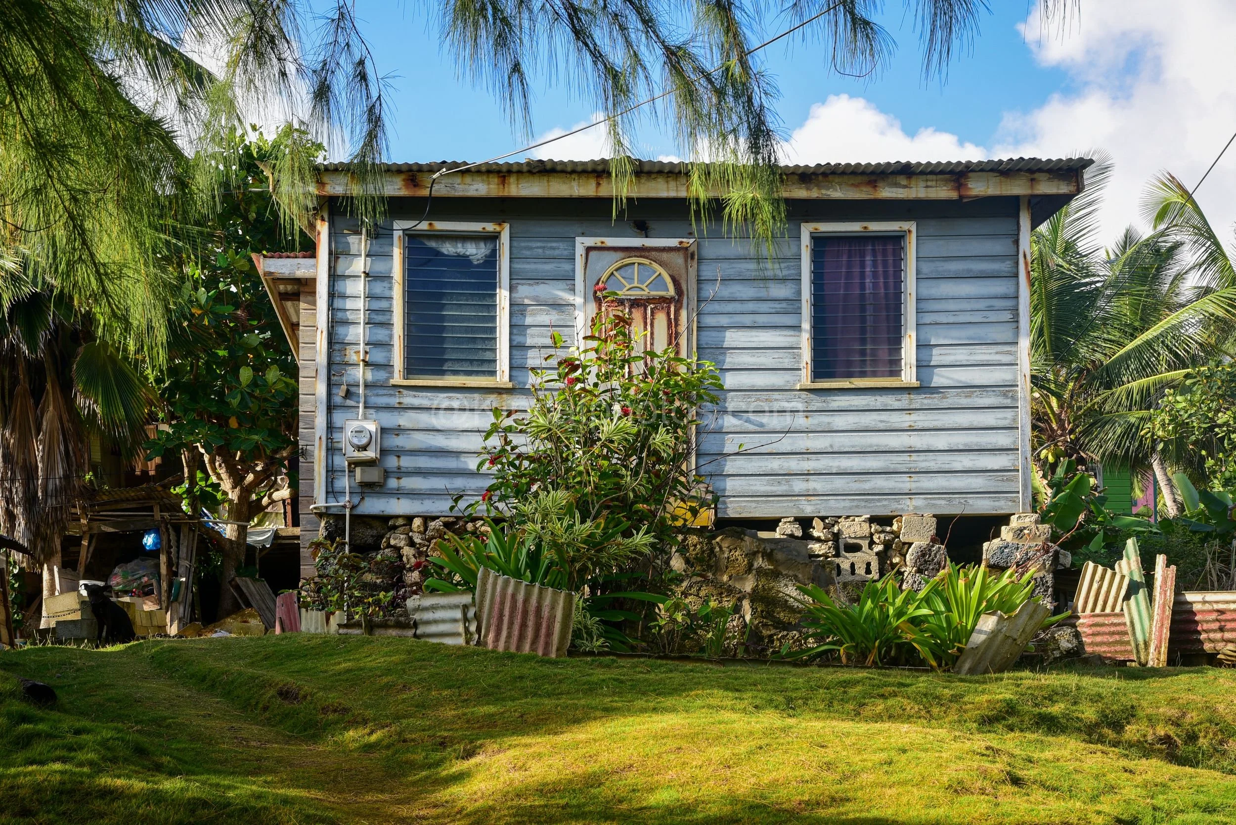 A weathered blue-grey chattel house in Barbados beneath casuarina and palm trees, with a rusted arched door. Kipcatphotos.com

Shaded by casuarina pines and palms, this blue-grey chattel house has a rusted, arch-topped door and louvred windows, its y
