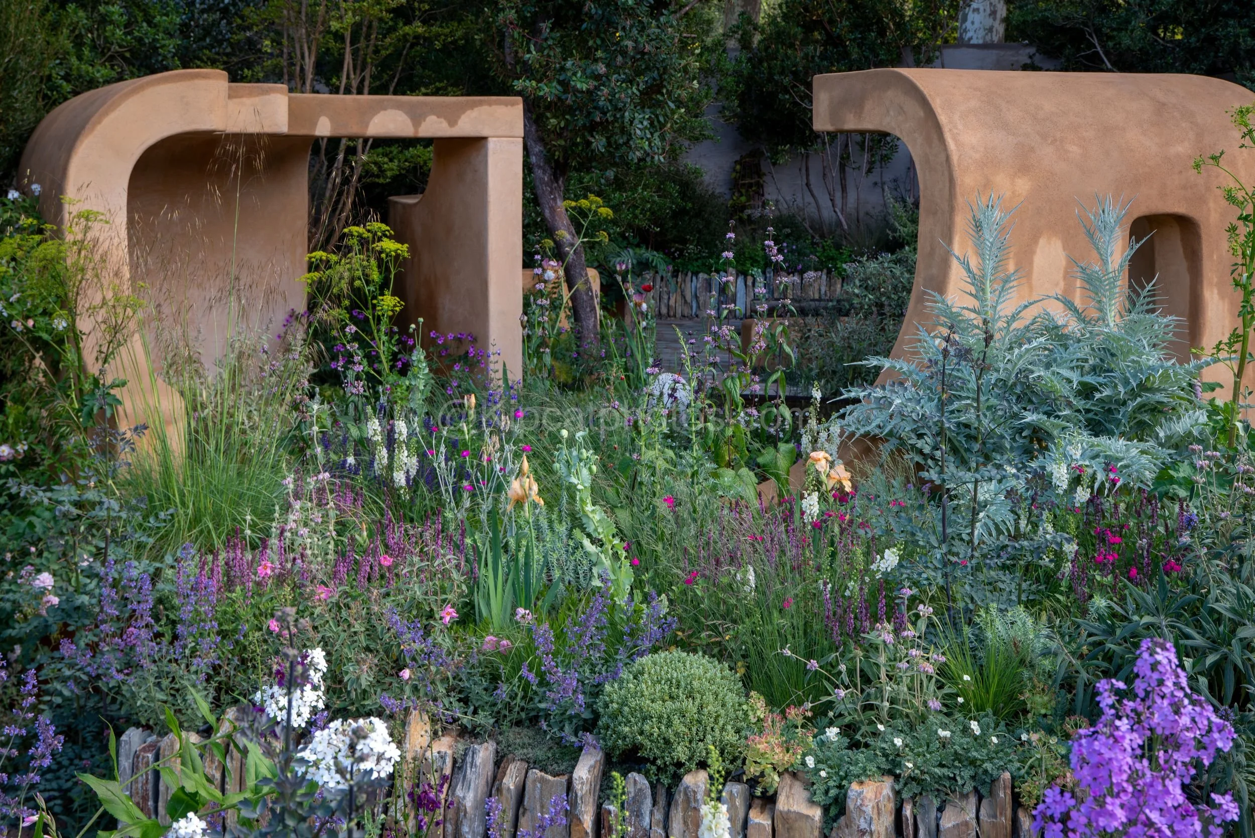 Wide view of the Darren Hawkes garden at RHS Chelsea Flower Show 2026, showing sculptural ochre walls above a dense cottage-style border

A wide view of the Darren Hawkes show garden at RHS Chelsea Flower Show 2026, showing the abstract sculptural oc