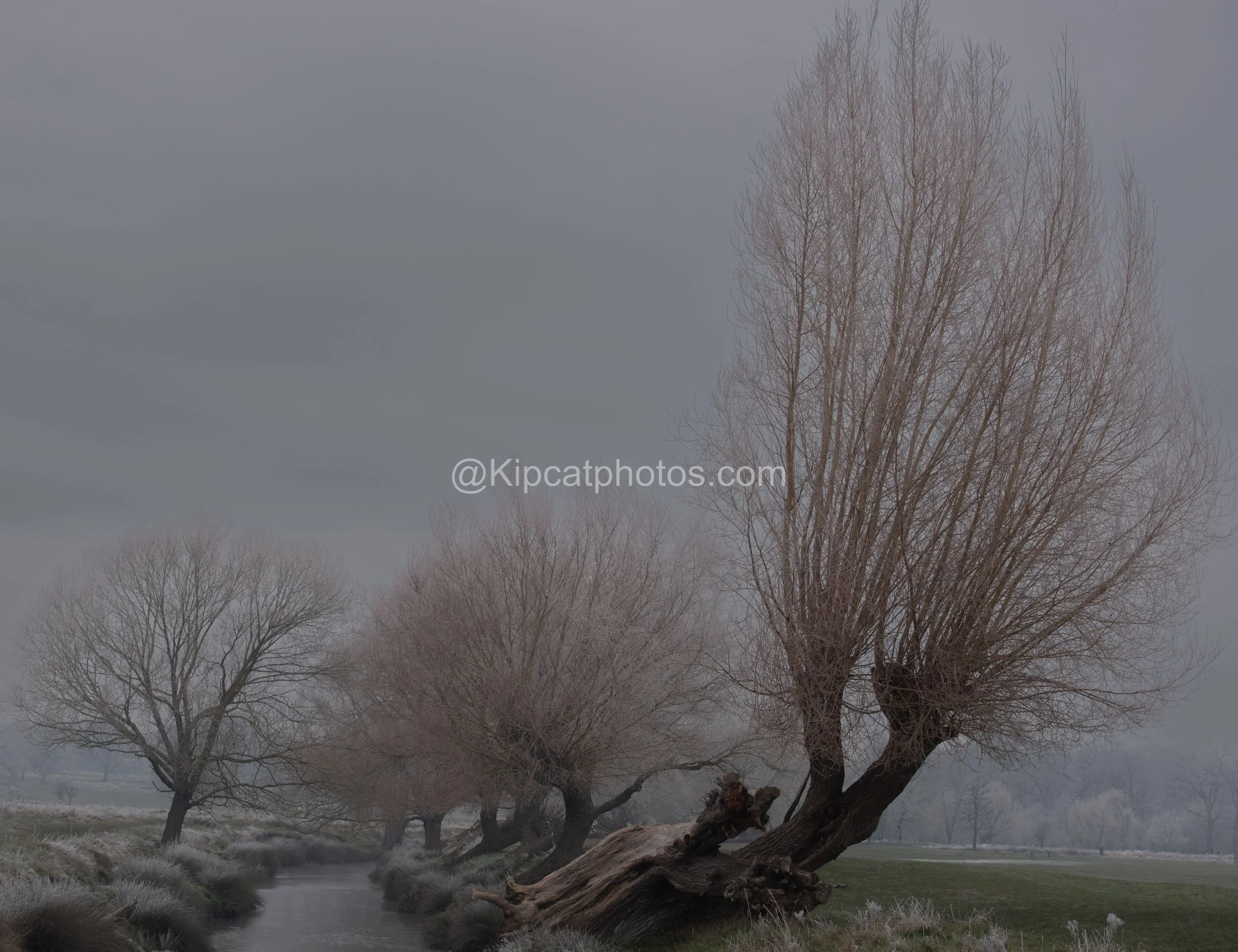 Winter 22 Kipcatphotos.com.jpg