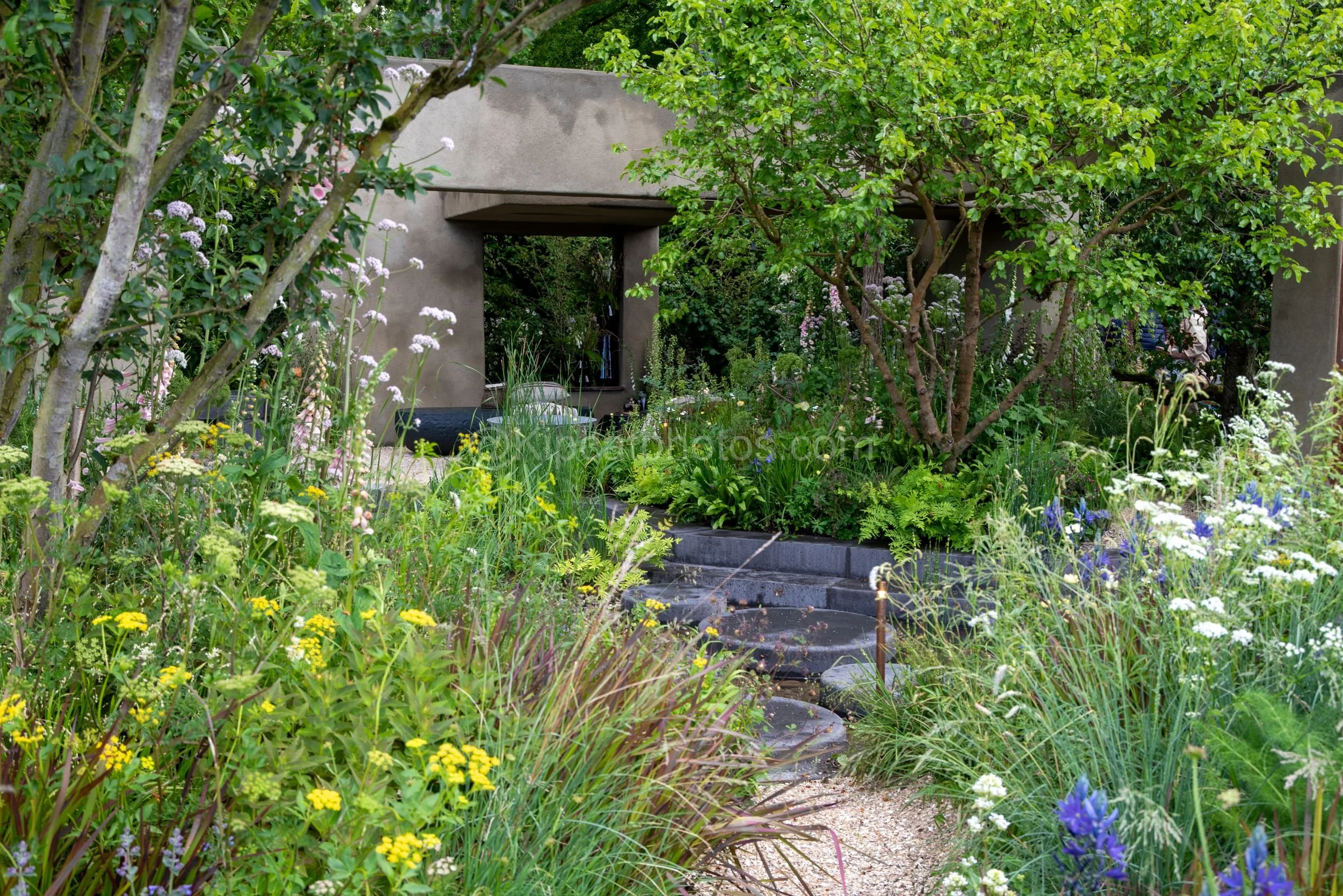 Gravel path through meadow planting leading to a concrete pavilion in the Baz Grainger garden at RHS Chelsea Flower Show 2026

A wide view of the Baz Grainger show garden at RHS Chelsea Flower Show 2026, showing a gravel path and stepping stones thro