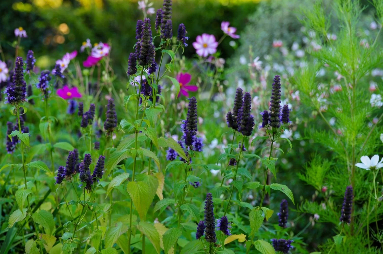 Berkshire private garden
