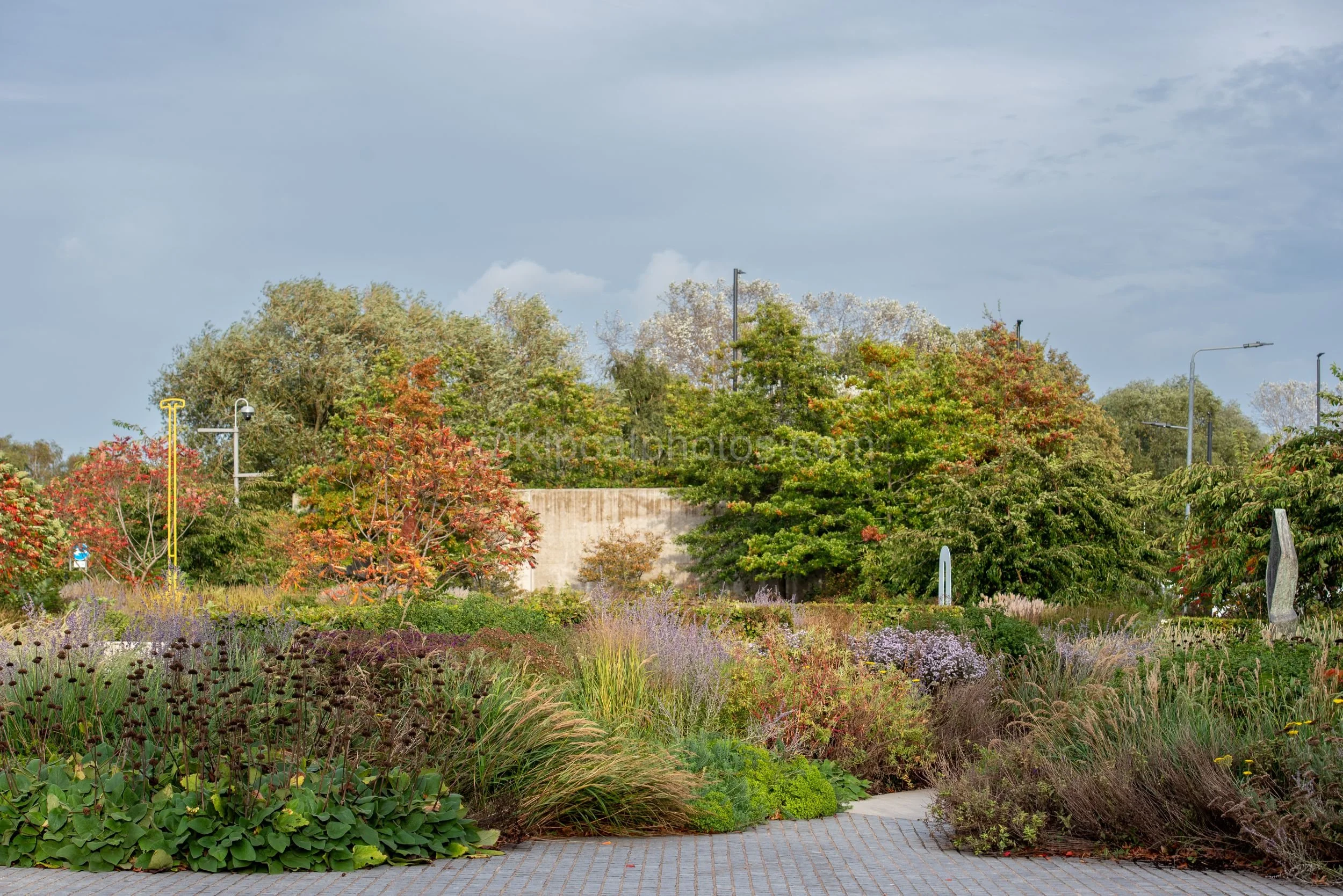 The Hepworth Wakefield Garden