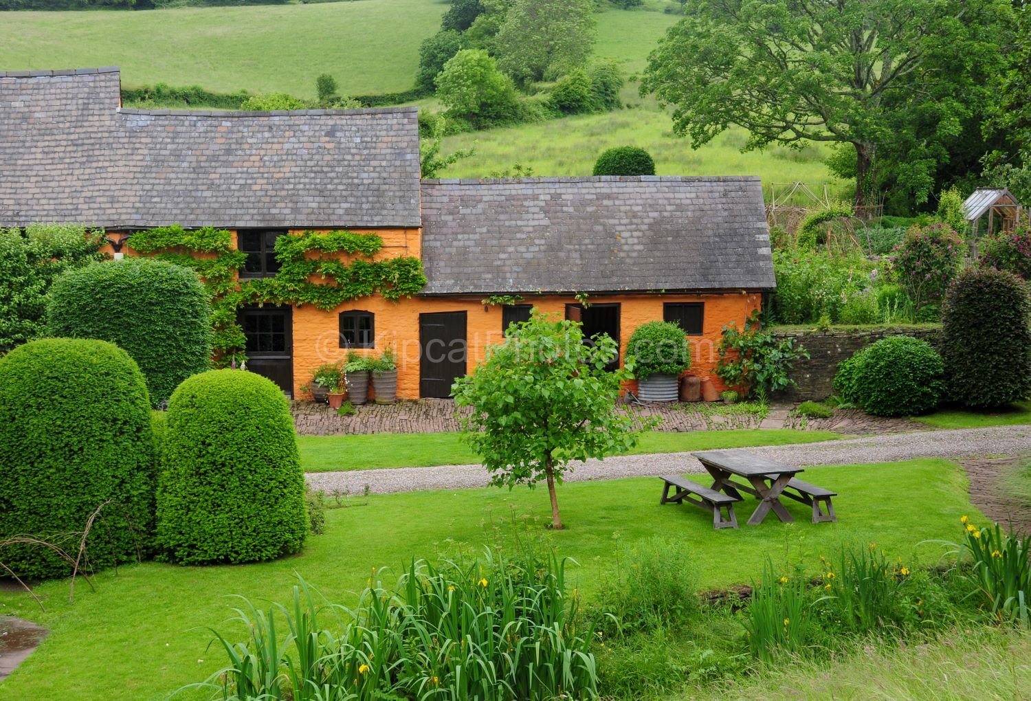 allt-y-bela-orange-house- topiary-wales.jpg.jpg