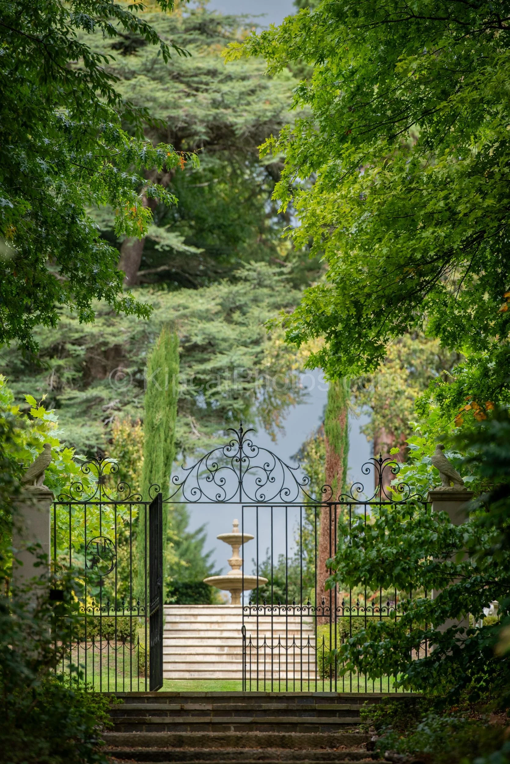 Ornate scrolled iron gates set at the end of stone steps at Broughton Grange, Oxfordshire, frame a view through to a tiered stone fountain, Italian cypress trees and a green lawn sloping away to the countryside beyond. KipcatPhotos.com.

Framed by ov