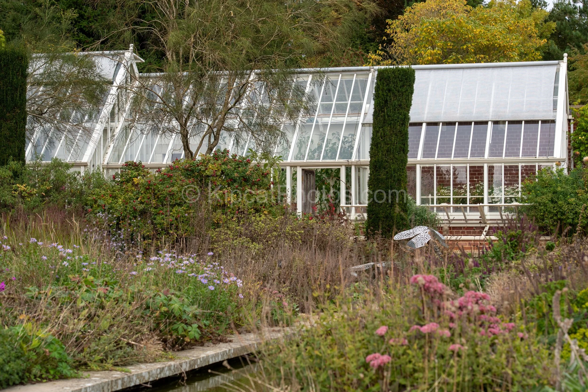 The Victorian glasshouse at Broughton Grange, Oxfordshire, seen across an autumn perennial border of asters, roses and grasses, with a white metal dragonfly sculpture visible among the planting and the canal pool edge in the foreground. KipcatPhotos.