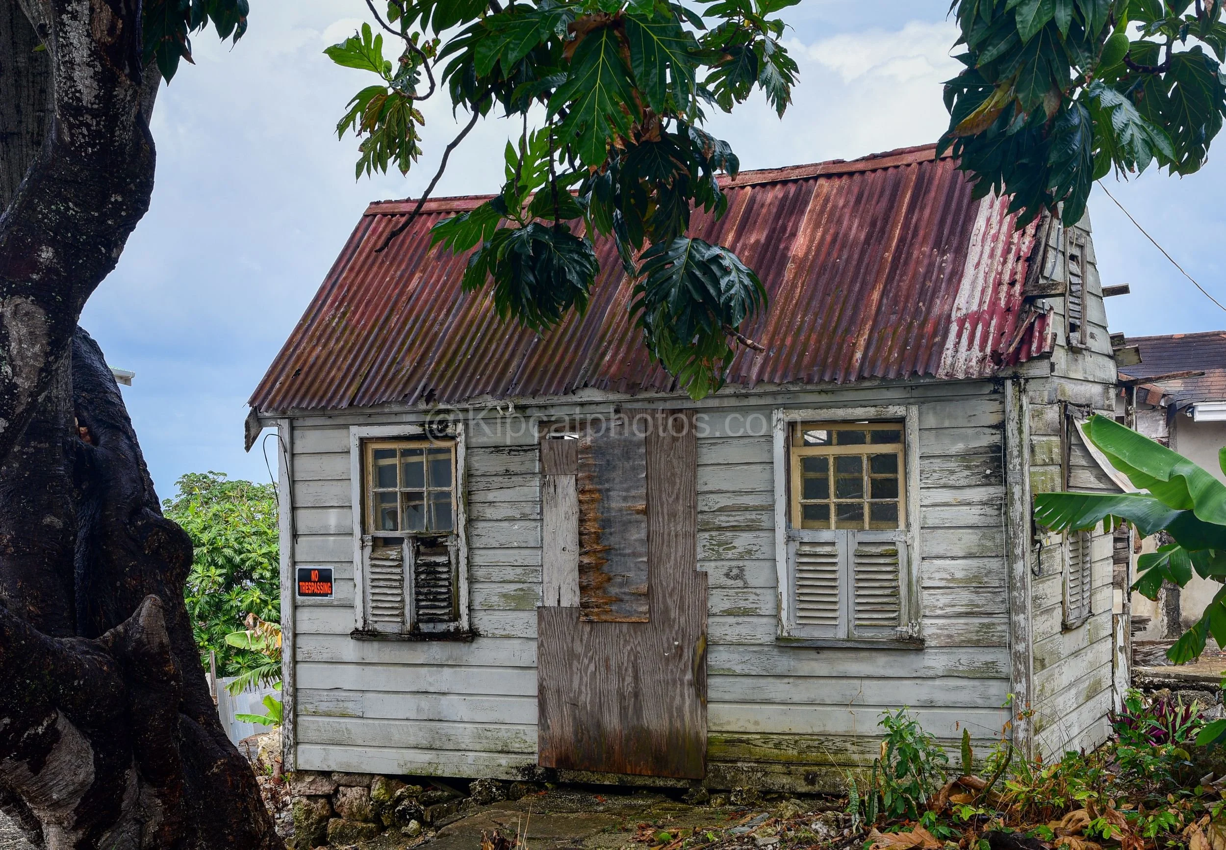 A weathered white chattel house in Barbados with a "No Trespassing" sign, shaded by a large mango tree. Kipcatphotos.com

Sun-bleached white boards and a boarded-up window mark this chattel house, a "No Trespassing" sign fixed beside the door, all sh