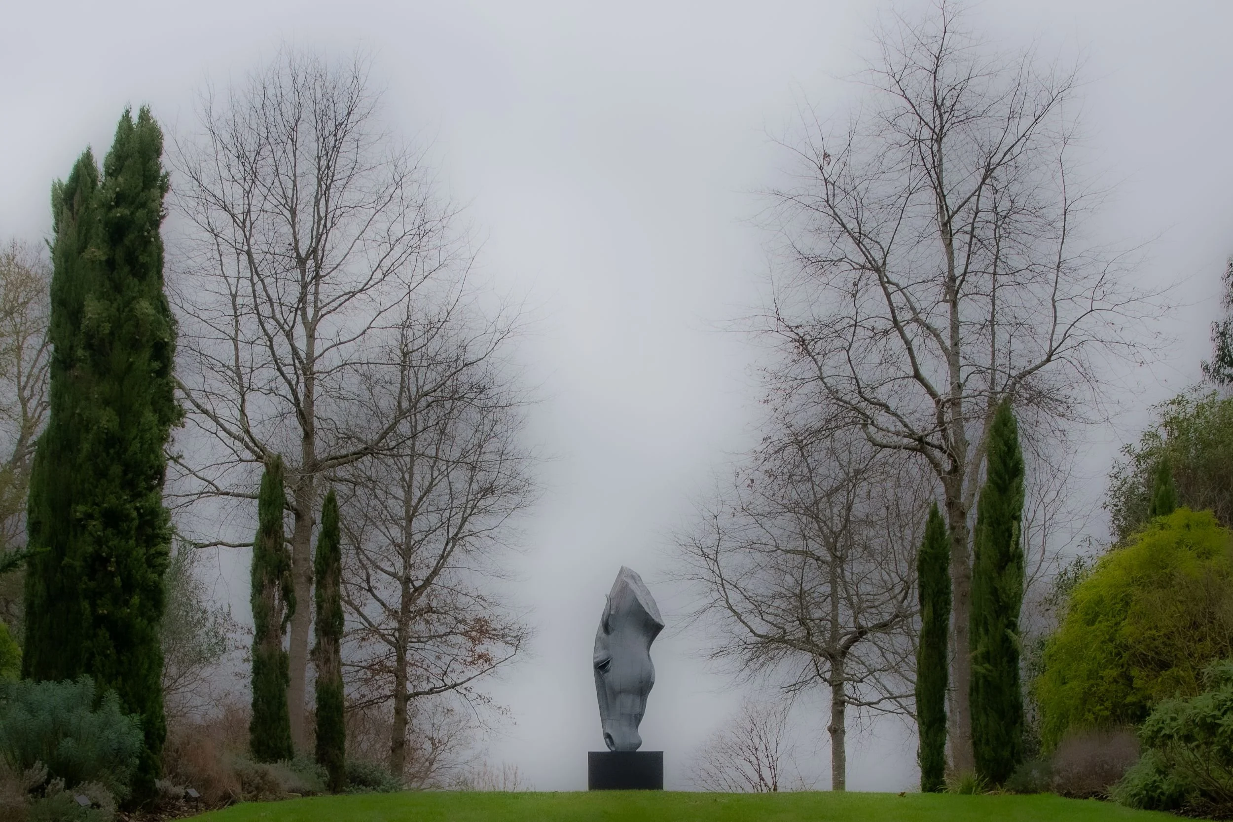 Still Water Nic Fiddian-Green Kipcatphotos.jpg