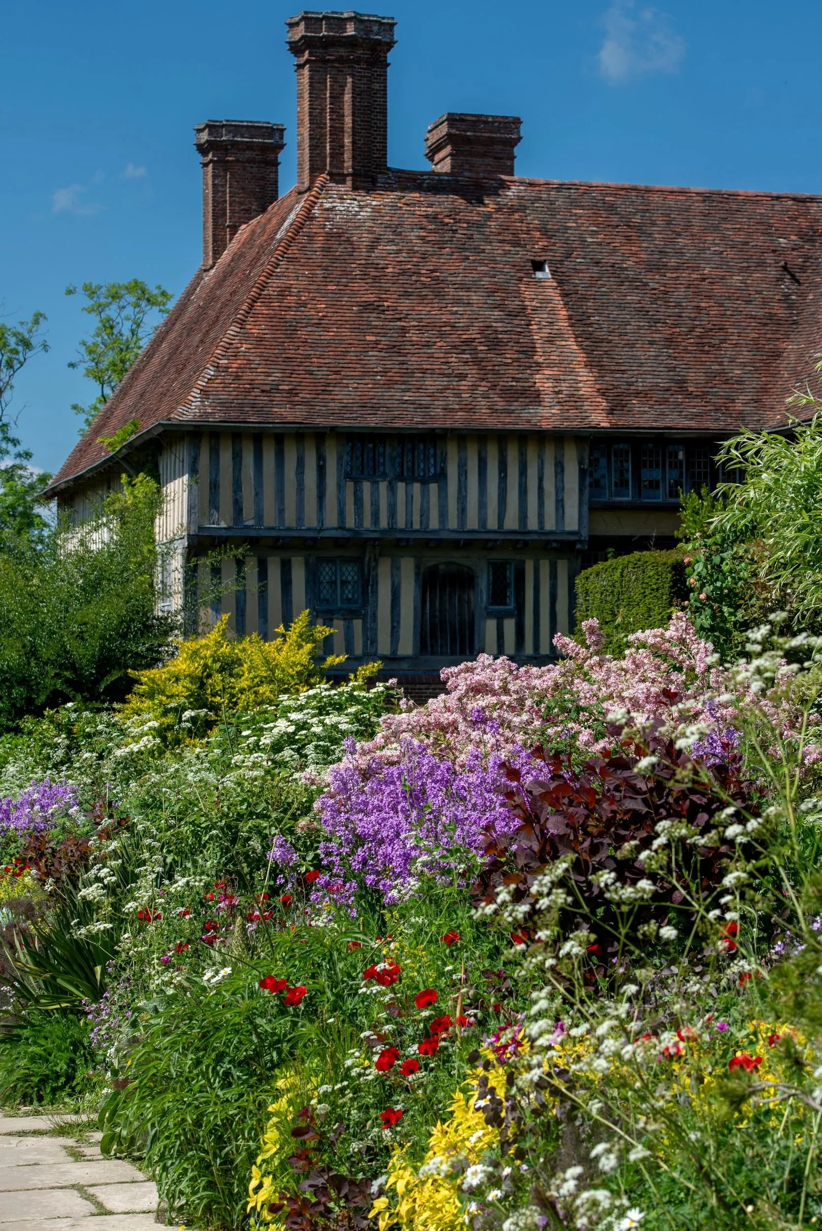 Timber-framed Tudor house facade seen beyond a border of pink and purple flowering shrubs at Great Dixter. Kipcatphotos.com

The timber-framed facade of Great Dixter's historic house rises above a border thick with pink valerian, purple honesty and d