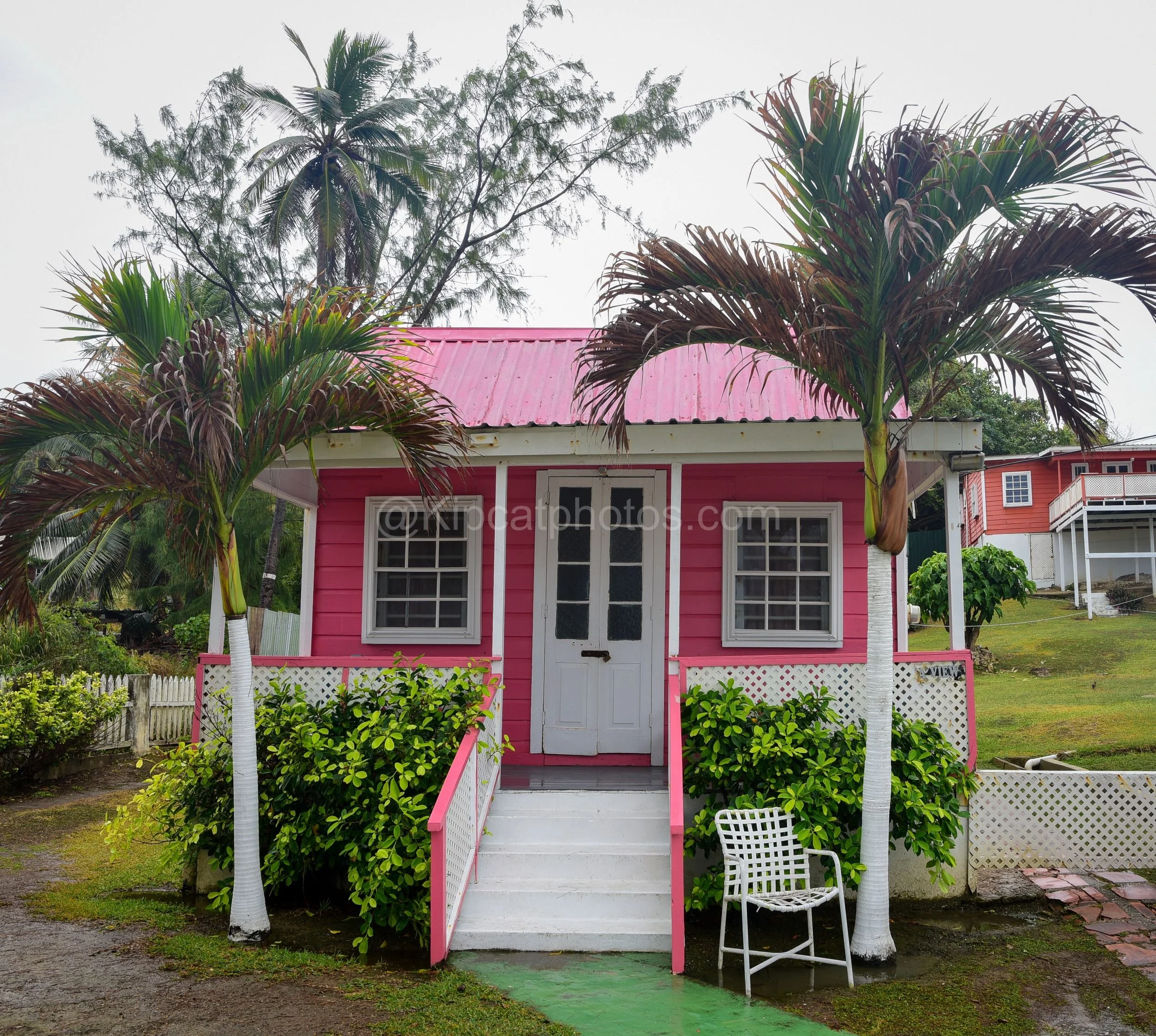 A vivid pink chattel house in Barbados framed by palm trees, with a white door and lattice porch. Kipcatphotos.com

Bright pink clapboard and crisp white trim make this chattel house stand out beneath a canopy of palms, its white lattice porch railin