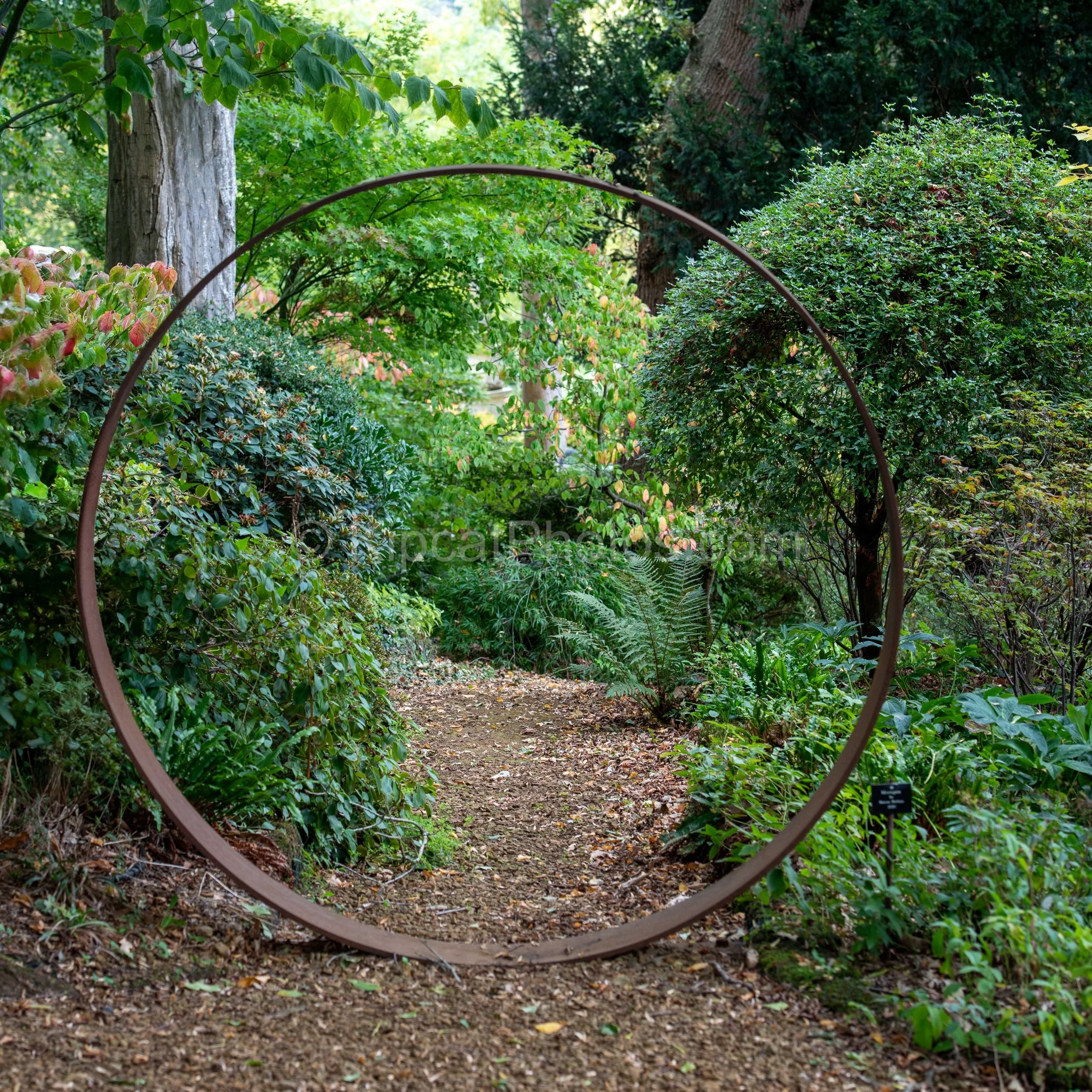 A large circular corten steel ring sculpture stands on a woodland path at Broughton Grange, Oxfordshire, framing a view through to ferns, shrubs and a glimpse of a water feature beyond. KipcatPhotos.com.

A large corten steel ring sits upright on a l