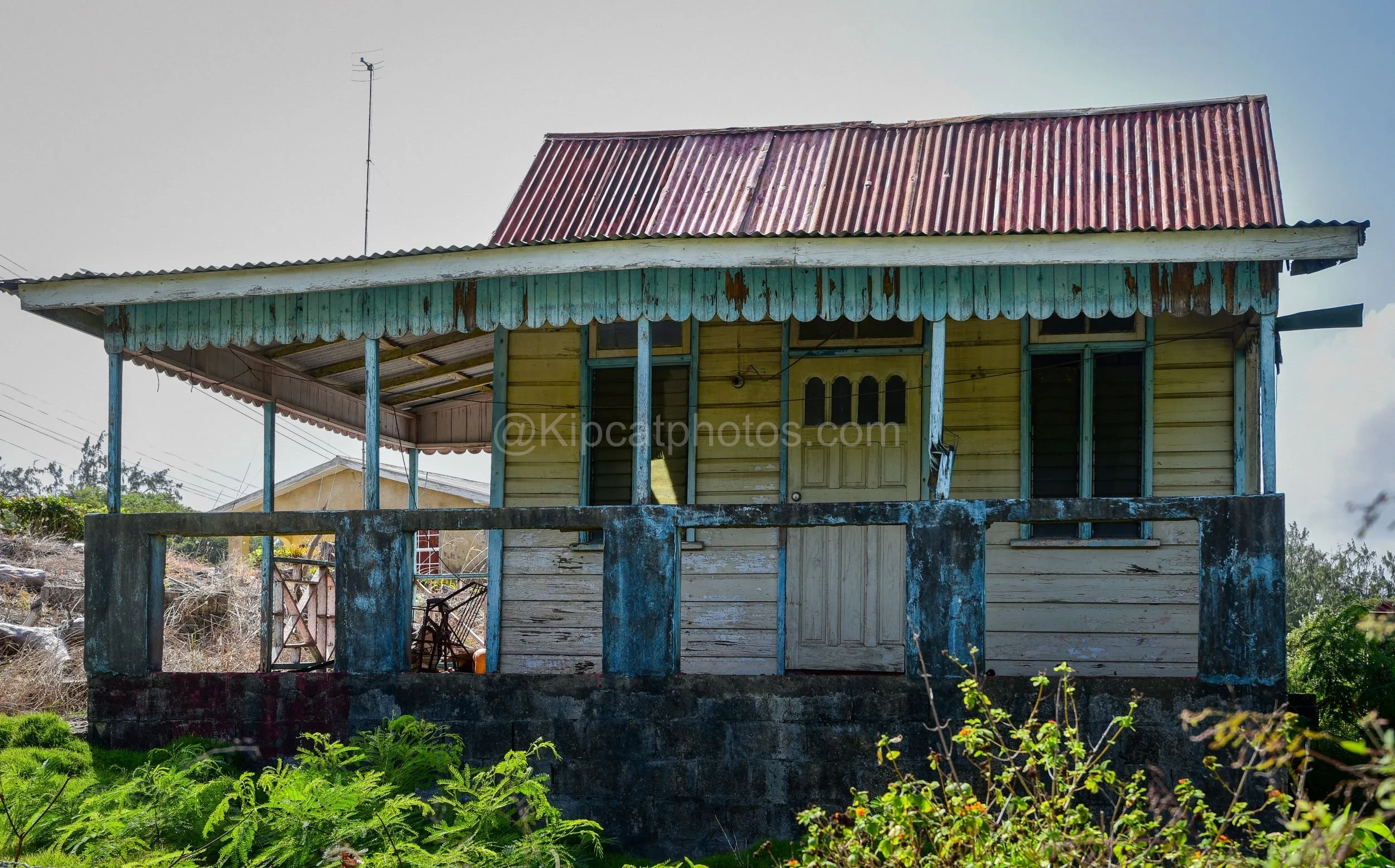 A Barbados chattel house with a rusted red roof, scalloped porch trim and pale blue balustrade, overgrown with ferns. Kipcatphotos.com

A once-elegant chattel house stands with its rust-streaked corrugated roof and decorative scalloped eaves, the por
