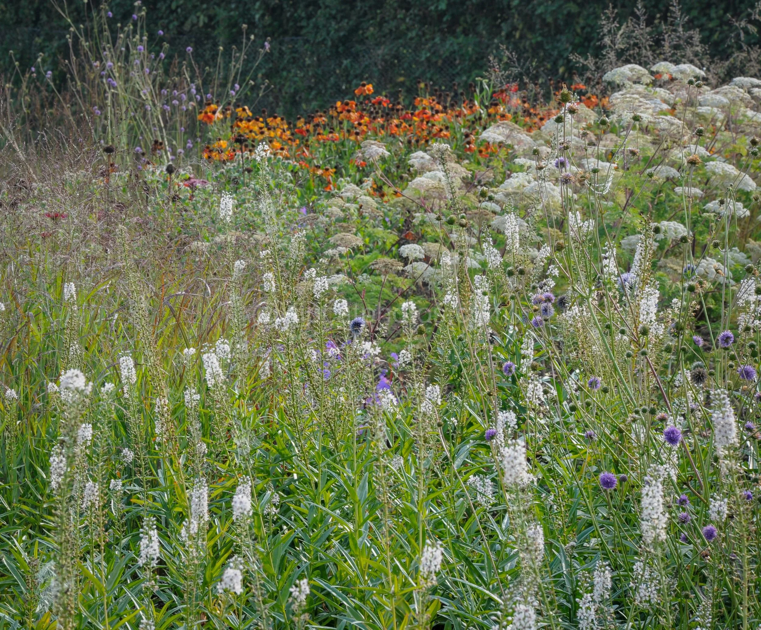 Hauser & Wirth 9 Kipcatphotos.jpg