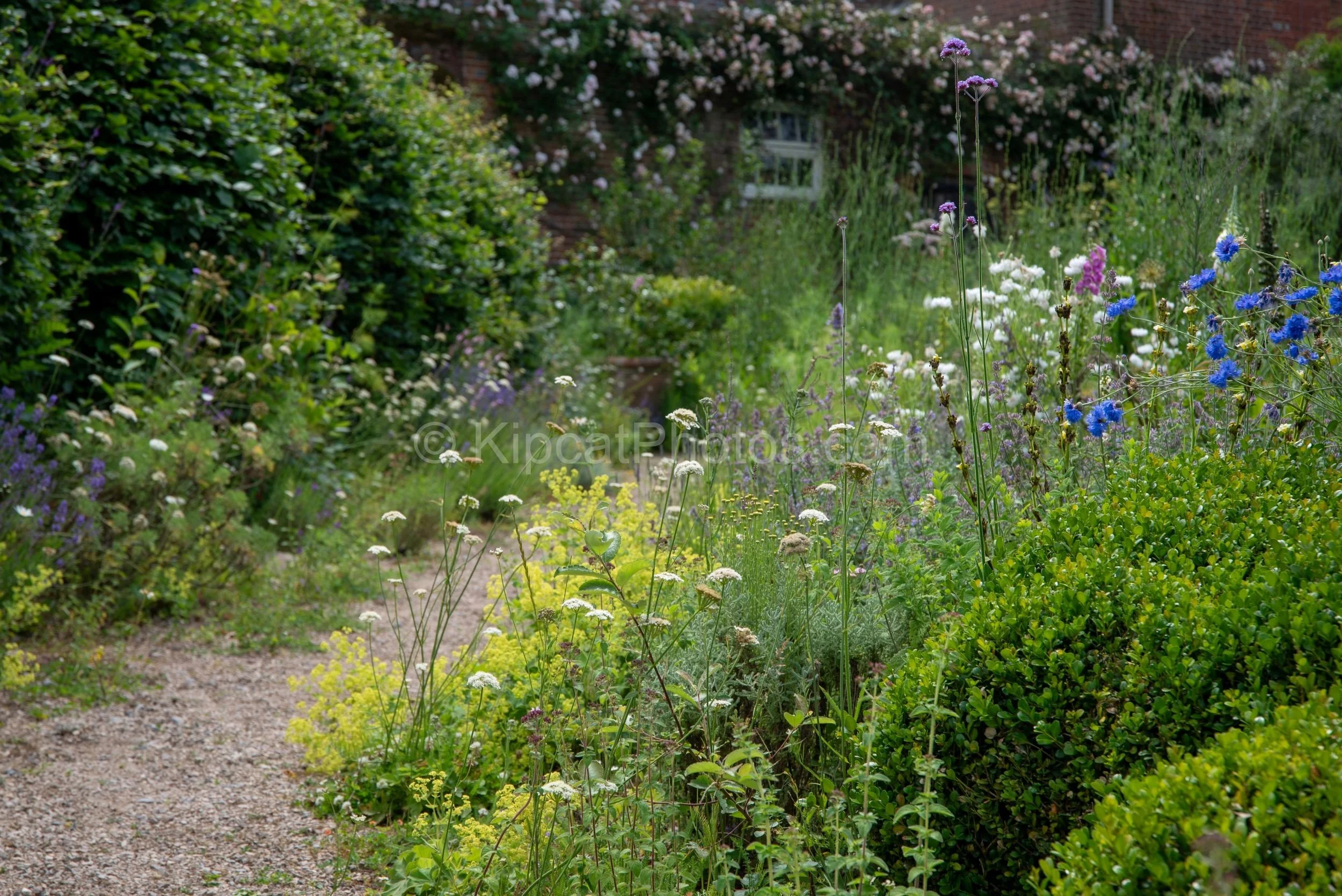 Knepp walled garden