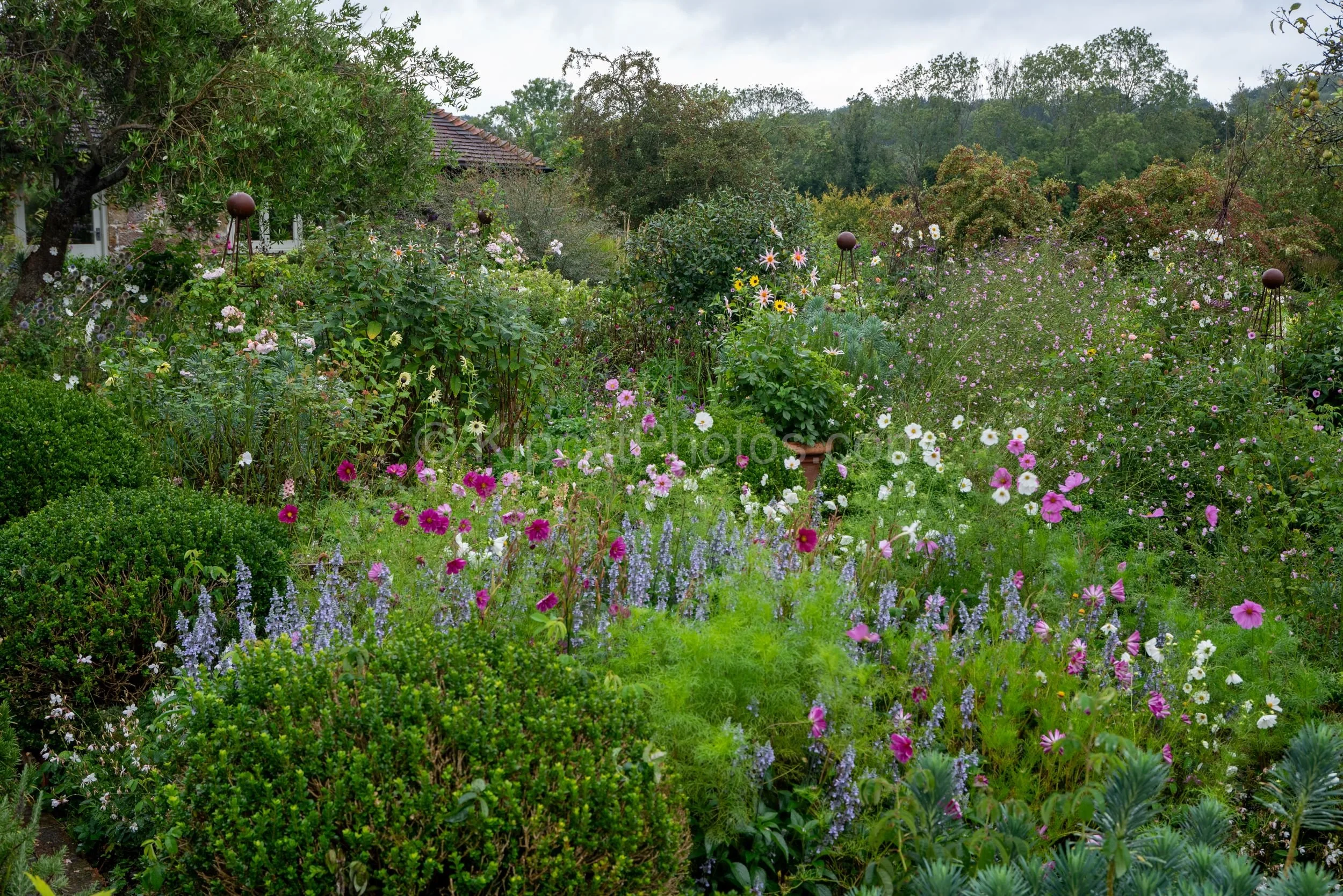 Sarah Raven's garden at Perch Hill