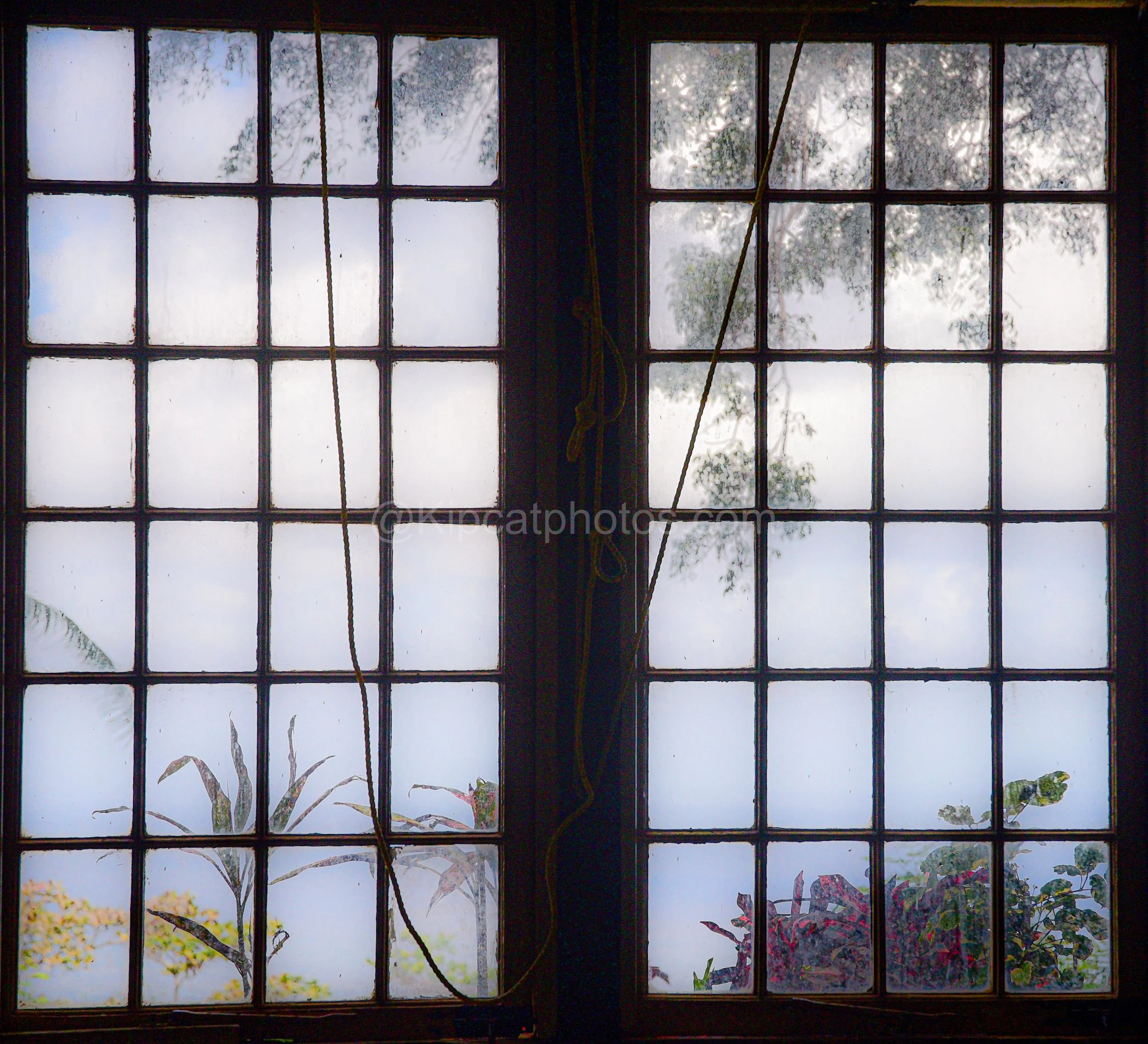 A pair of old multi-pane windows inside St John's Church, Barbados, with hanging cords and a garden visible beyond. Kipcatphotos.com

Weathered sash windows inside St John's Church frame a hazy view of trees and tropical foliage, with loose cords han