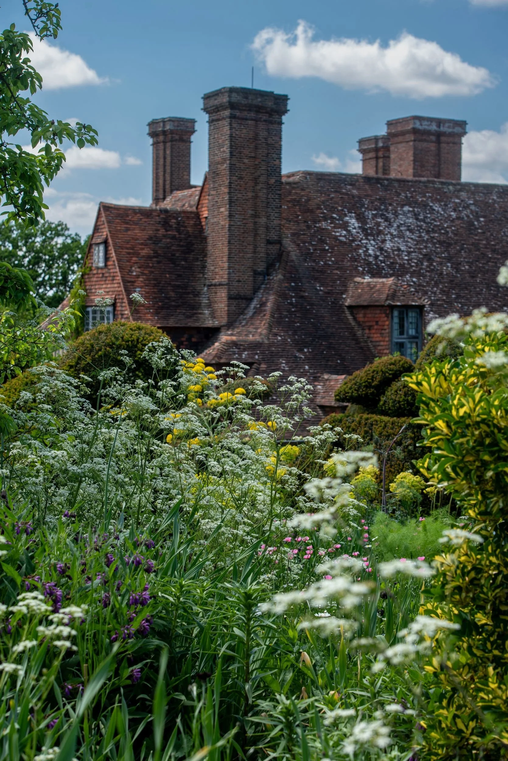 Tall brick chimneys of the historic manor house rise above billowing cow parsley in the garden at Great Dixter. Kipcatphotos.com

Great Dixter's Tudor manor house is glimpsed through a haze of cow parsley, its tall clustered brick chimneys standing s