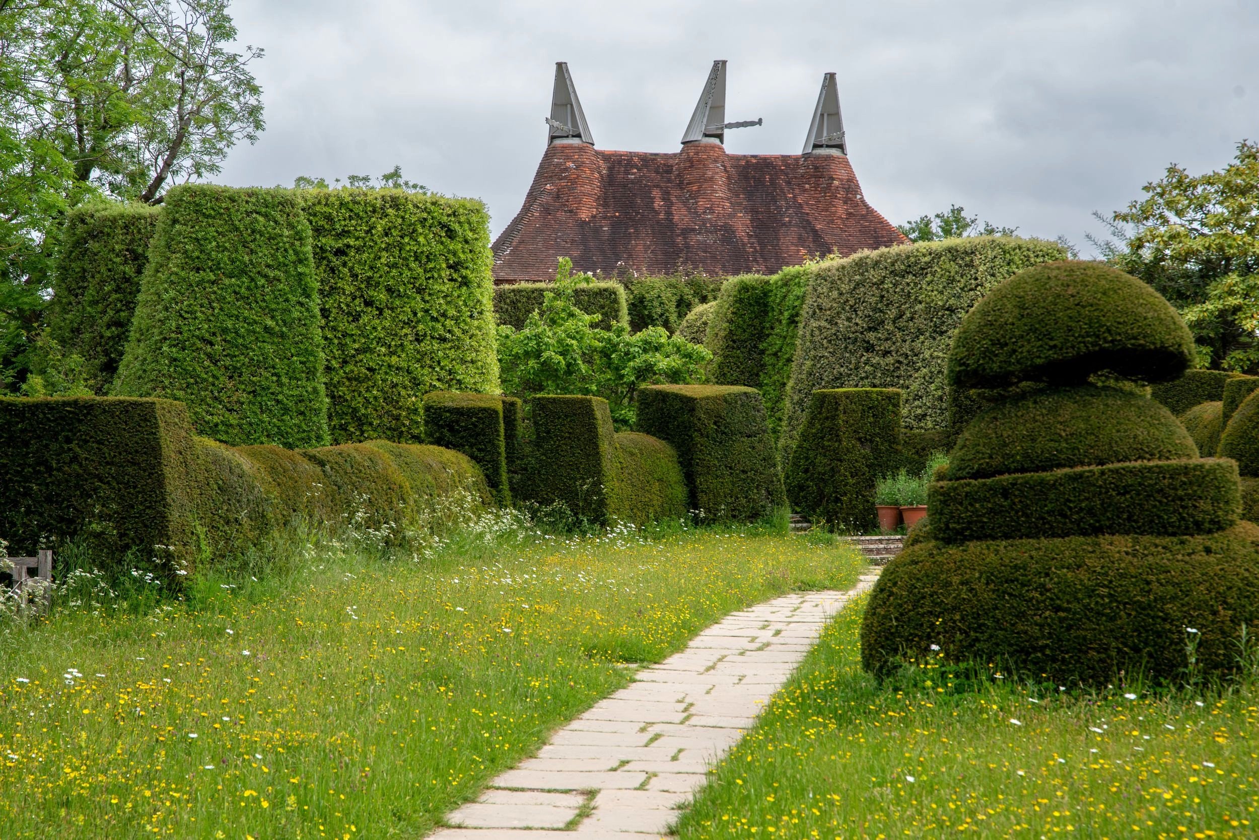 Clipped yew topiary shapes line a stone path through a wildflower meadow, with the oast house roundels visible beyond at Great Dixter. Kipcatphotos.com

A mown stone path cuts through a wildflower meadow of ox-eye daisies and buttercups, flanked by G
