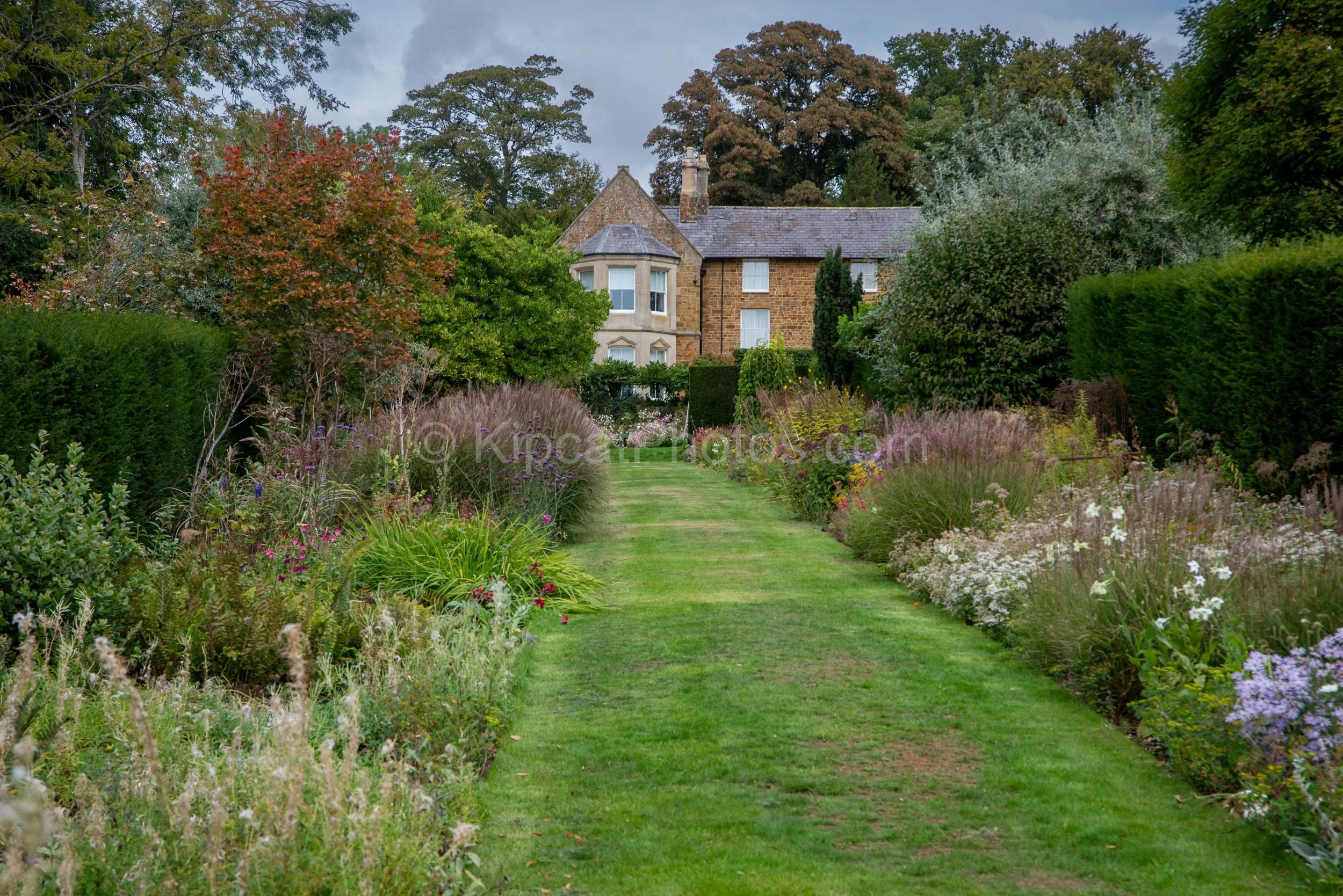 Long double herbaceous borders of ornamental grasses, pink phlox, white asters and late perennials lead down a grass path towards the stone manor house at Broughton Grange, Oxfordshire, with autumn trees and a yew hedge framing the view. KipcatPhotos