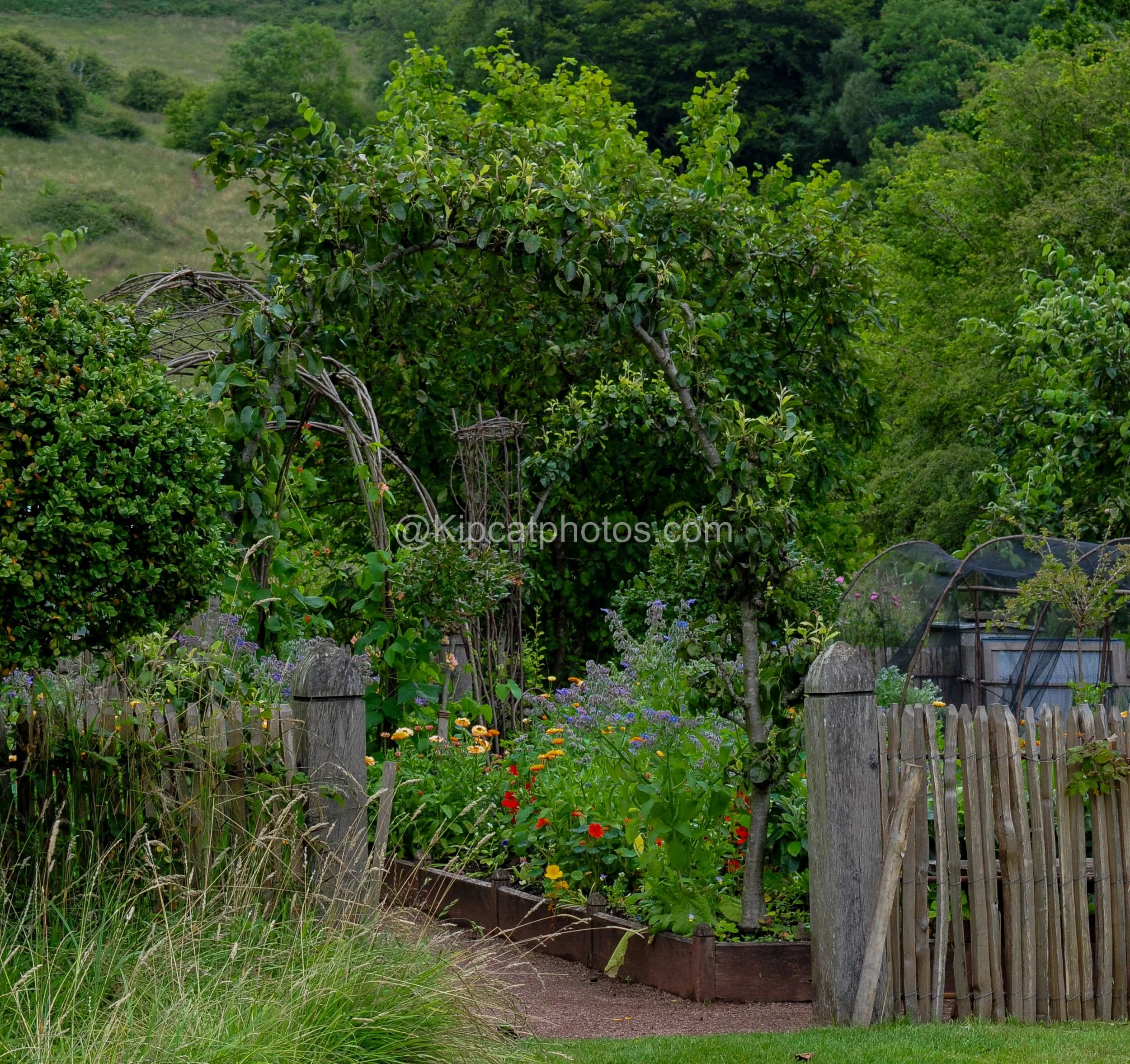 Allt-y-bela 23 Kipcatphotos.jpg