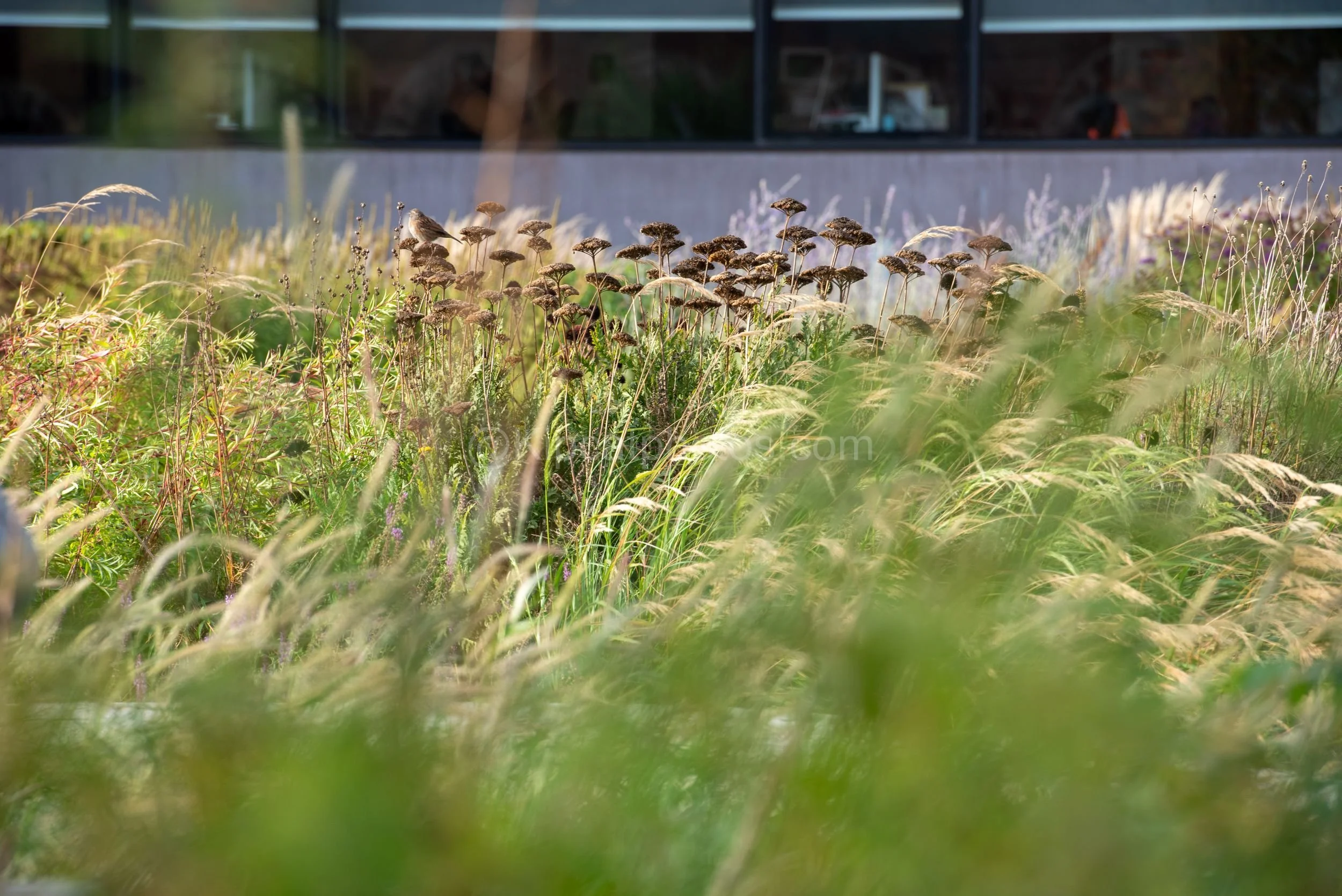 Hepworth Wakefied 29 Kipcatphotos.jpg