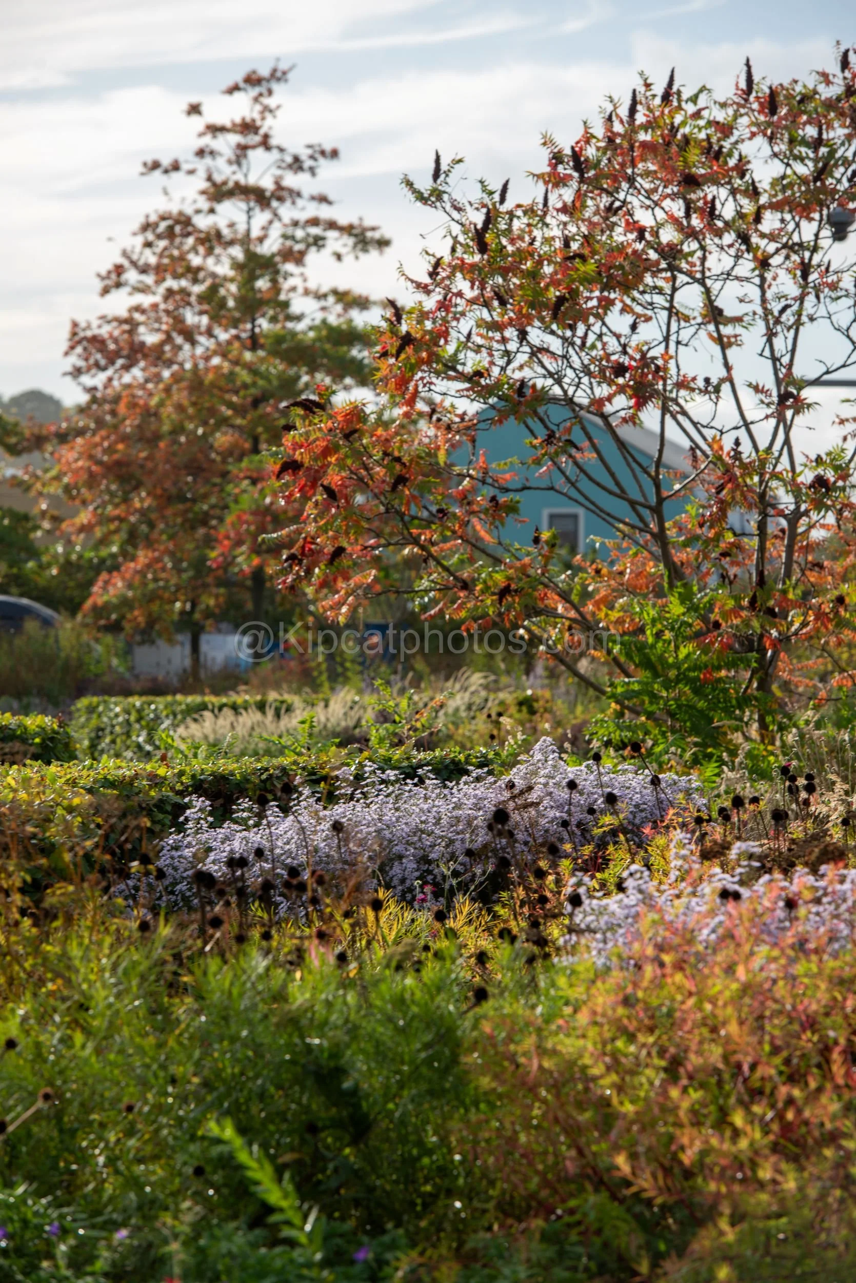 Hepworth Wakefied 22 Kipcatphotos.jpg