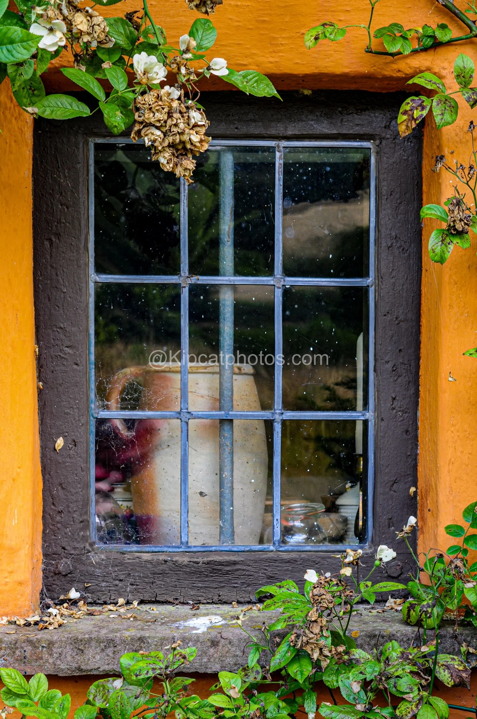 allt-y-bela-leaded-window-roses-pottery-interior.jpg.jpg