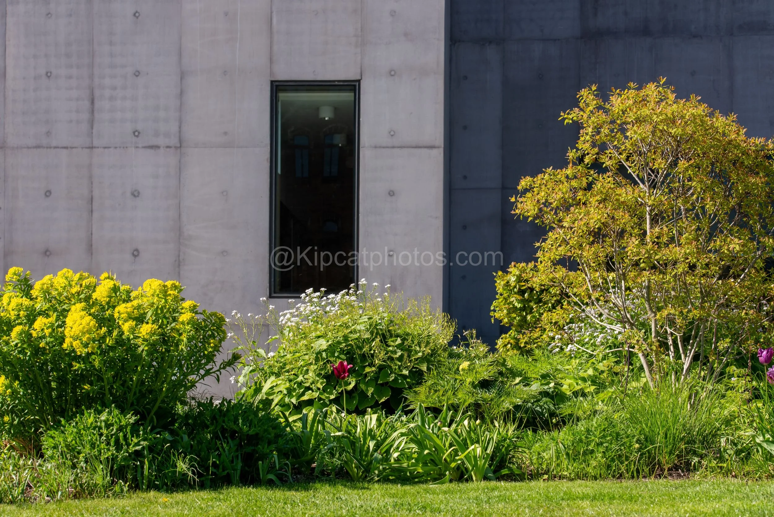 Hepworth Wakefied 11 Kipcatphotos.jpg