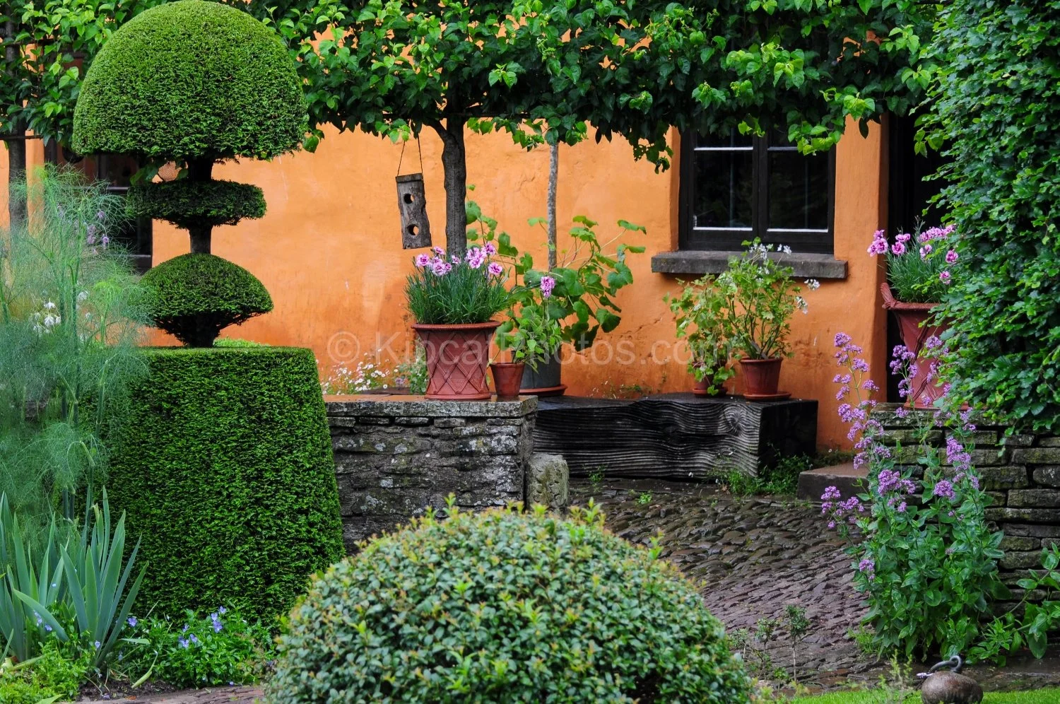 allt-y-bela-courtyard-cloud-topiary-wide-view.jpg.jpg