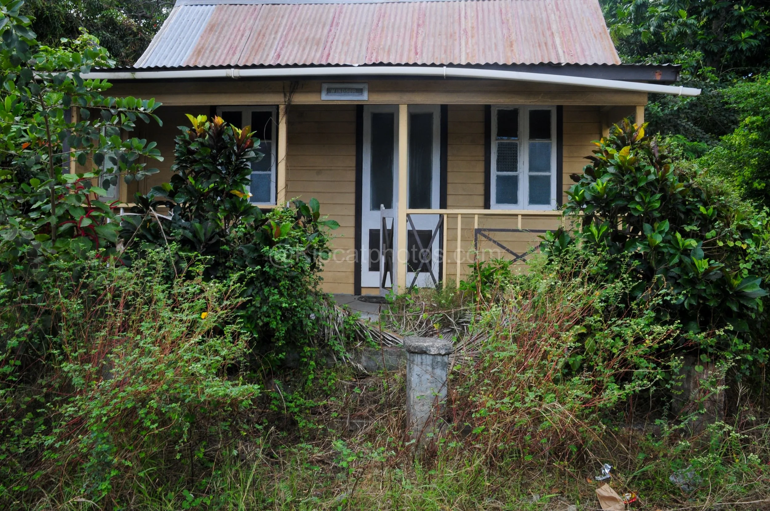 An overgrown chattel house named "Windsor" in Barbados, its porch nearly hidden by dense tropical foliage. Kipcatphotos.com

Nearly swallowed by vines and shrubs, this chattel house still bears its "Windsor" name plate above the porch, with a pale do