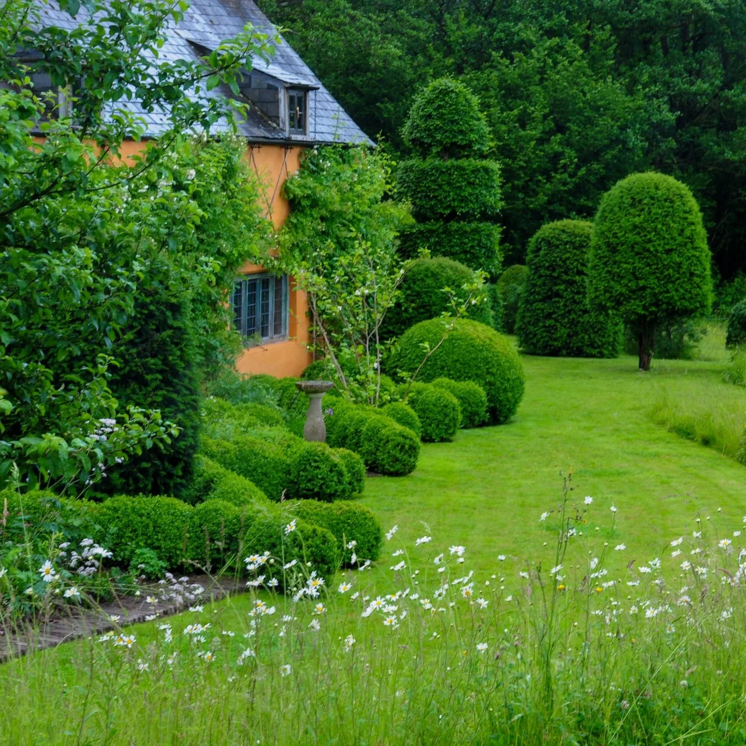 allt-y-bela-orange-house-topiary-wildflower-meadow.jpg.jpg