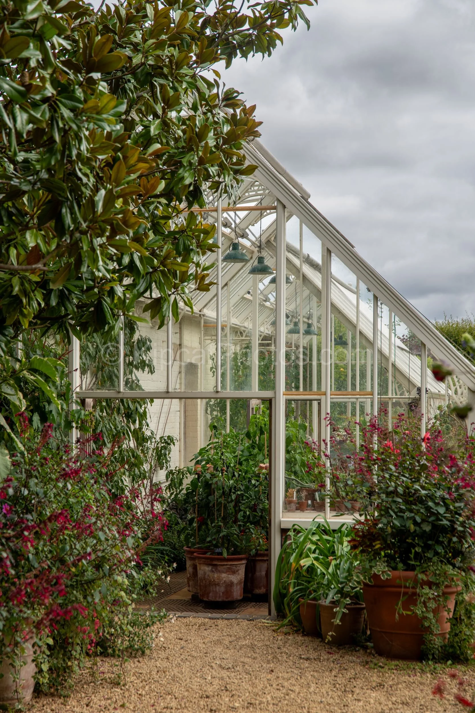The entrance to the Victorian glasshouse at Broughton Grange, Oxfordshire, framed by a large magnolia tree and terracotta pots, with red salvia, tender climbers and mixed plants spilling around the open doorway. KipcatPhotos.com.

The entrance to Bro