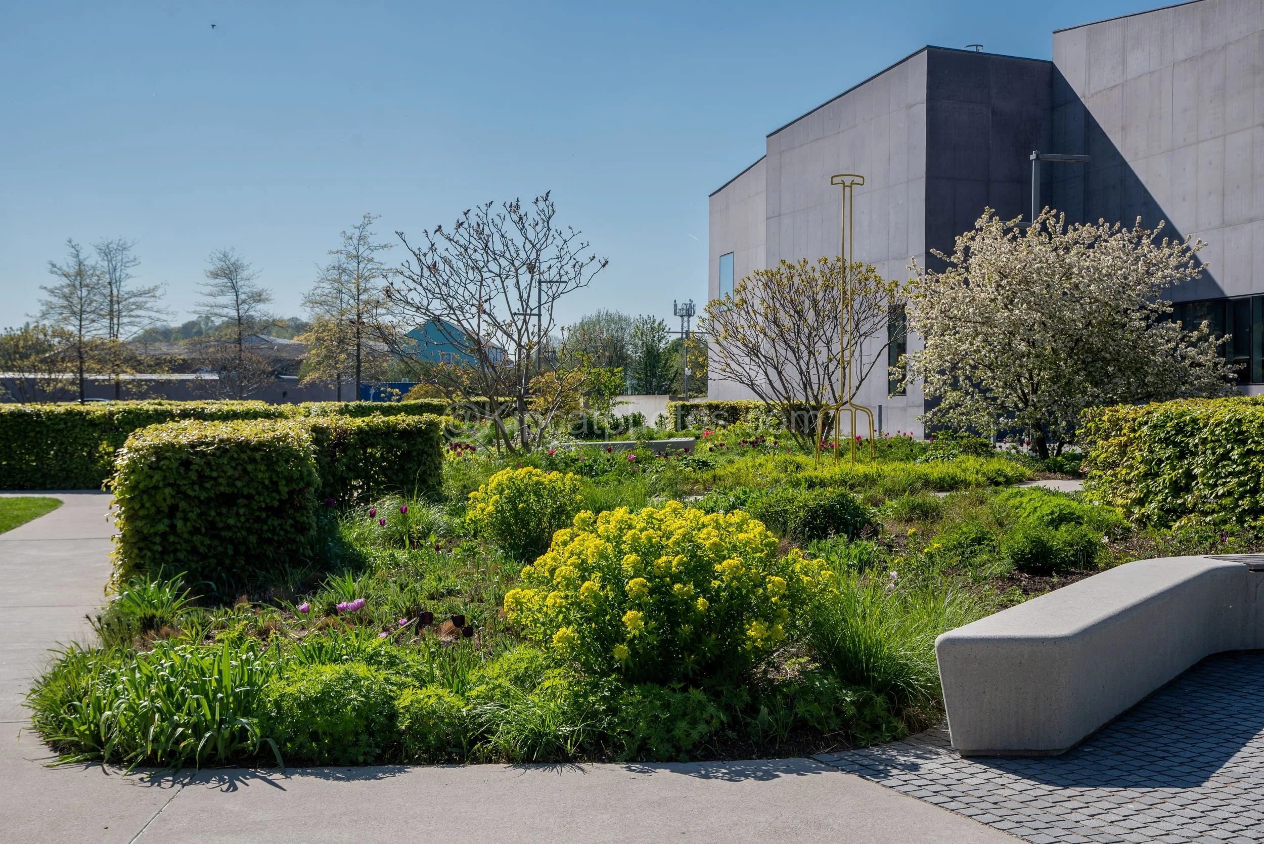 Hepworth Wakefied 1 Kipcatphotos.jpg