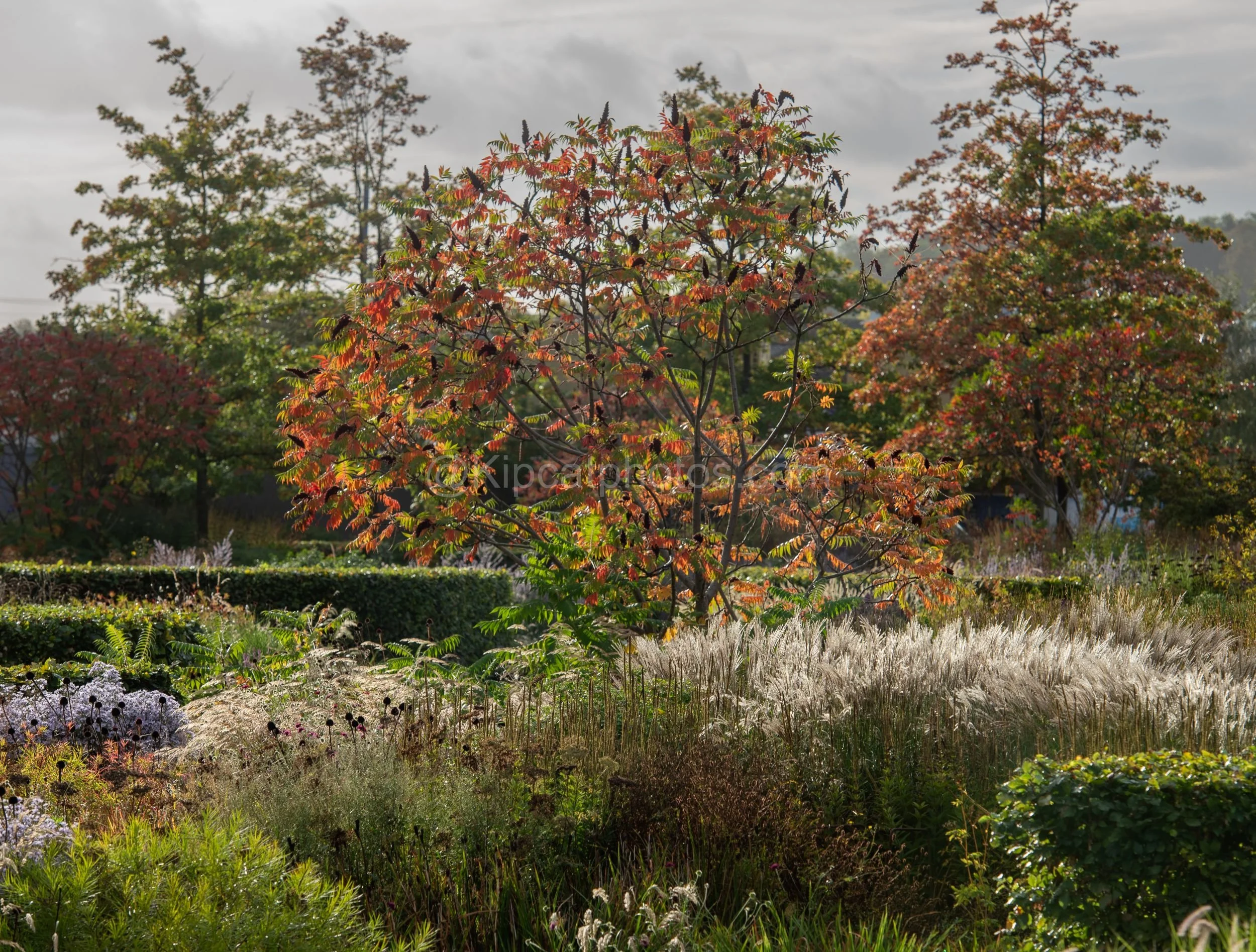 Hepworth Wakefied 21 Kipcatphotos.jpg