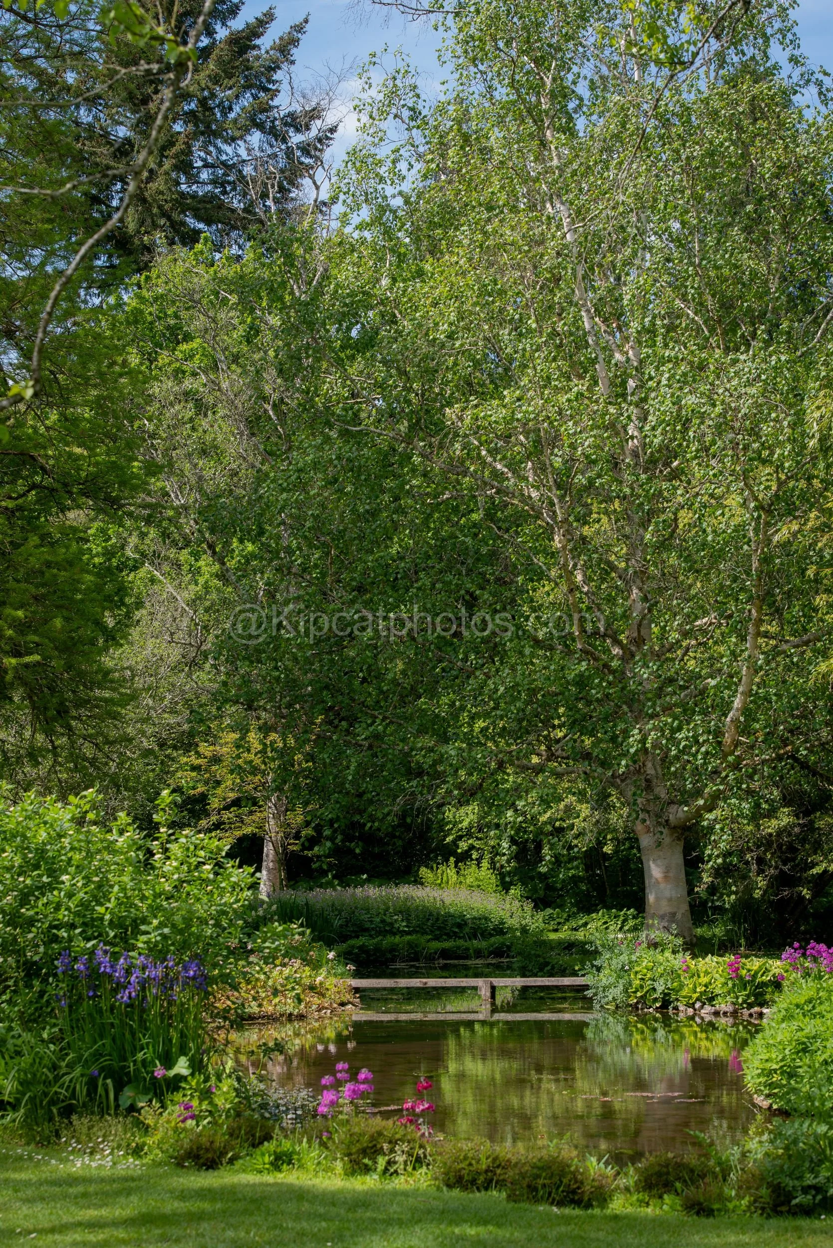 Longstock Water Garden 13 Kipcatphotos.jpg