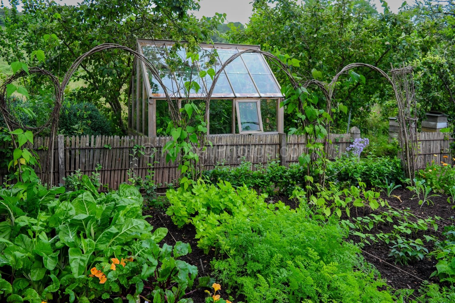 allt-y-bela-kitchen-garden-willow-arches-greenhouse.jpg.jpg