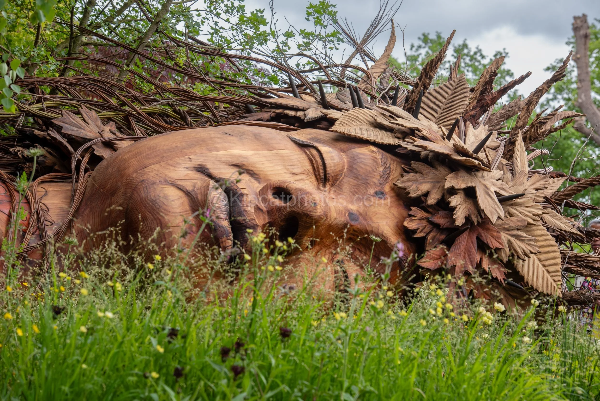 Large carved wooden head with woven willow mane in the Sarah Eberle garden at RHS Chelsea Flower Show 2026

A striking large-scale carved wooden head resembling a resting animal, crowned with a woven willow and wood-shaving mane, set among wildflower