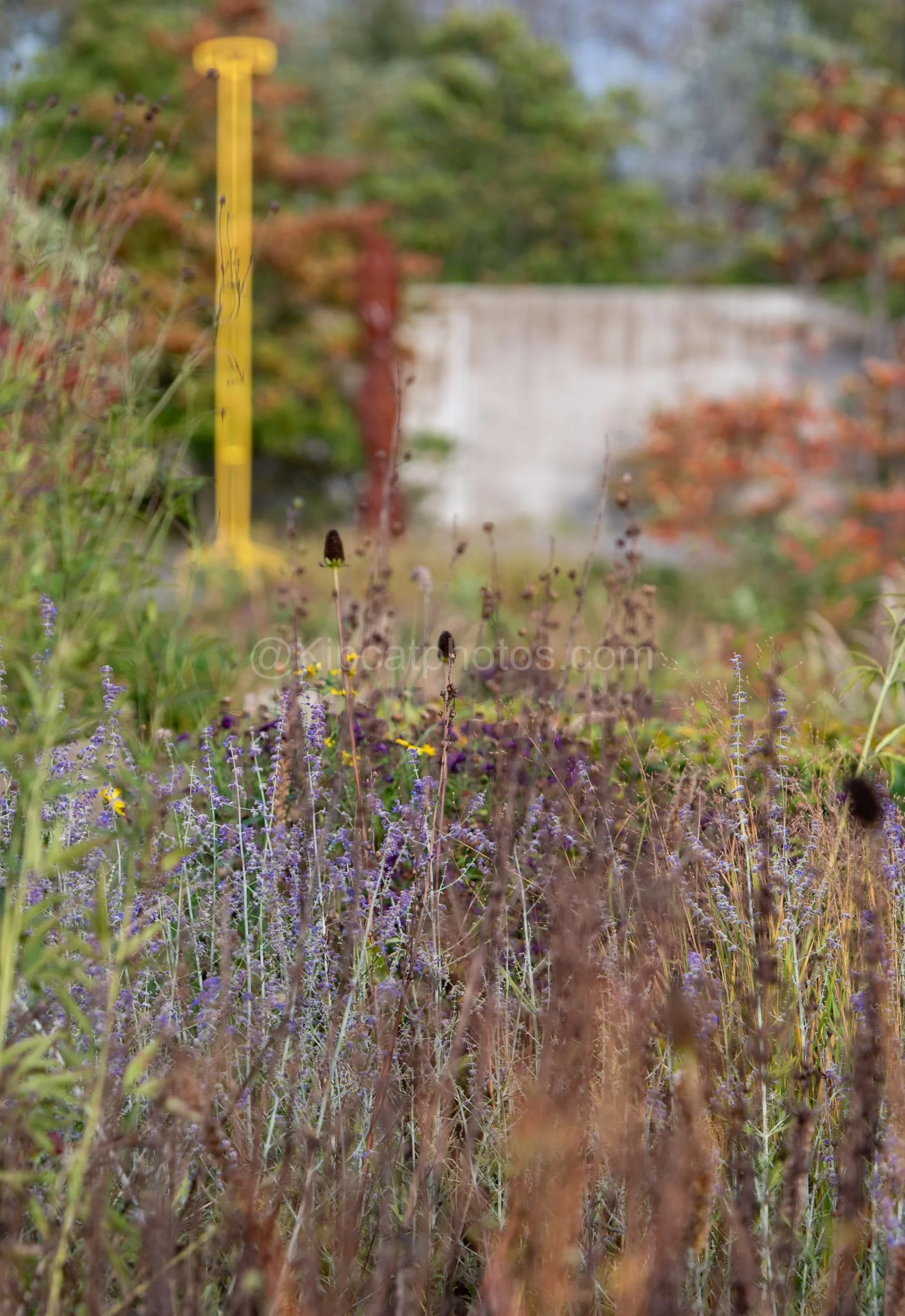 Hepworth Wakefied 31 Kipcatphotos.jpg