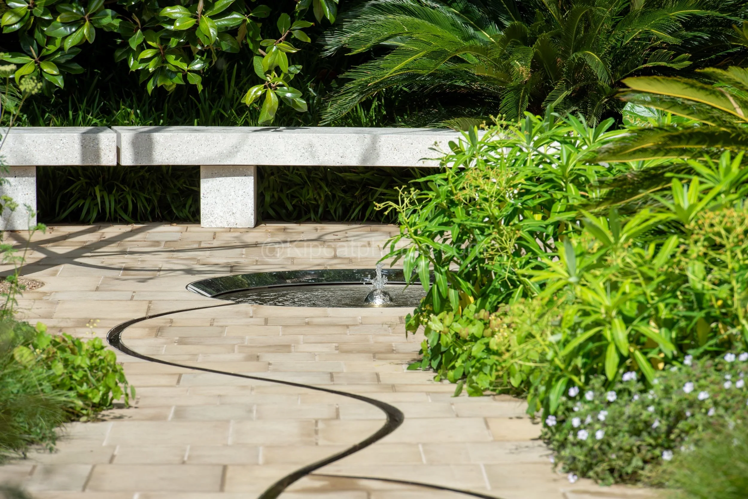 Terrazzo stone bench beside a bubbling circular pool in the Tom Stuart-Smith garden at RHS Chelsea Flower Show 2026

A pale terrazzo bench sits beside a bubbling circular water feature set into a curving stone path, surrounded by cycads and glossy ev