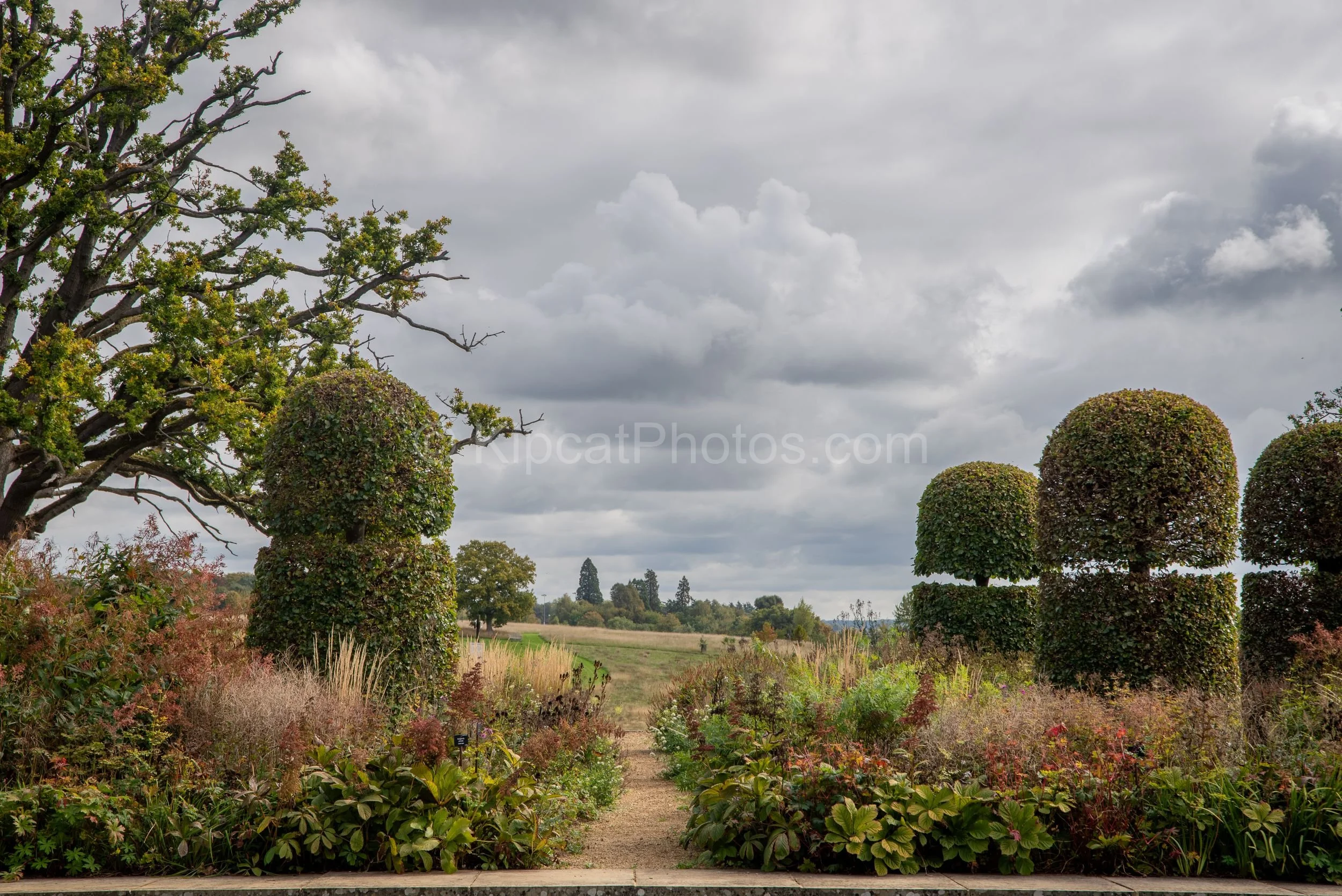 A row of large domed topiary columns frames a view through the garden boundary at Broughton Grange, Oxfordshire, looking out across open Oxfordshire countryside and fields under a dramatic stormy sky. KipcatPhotos.com.

A row of large domed topiary c