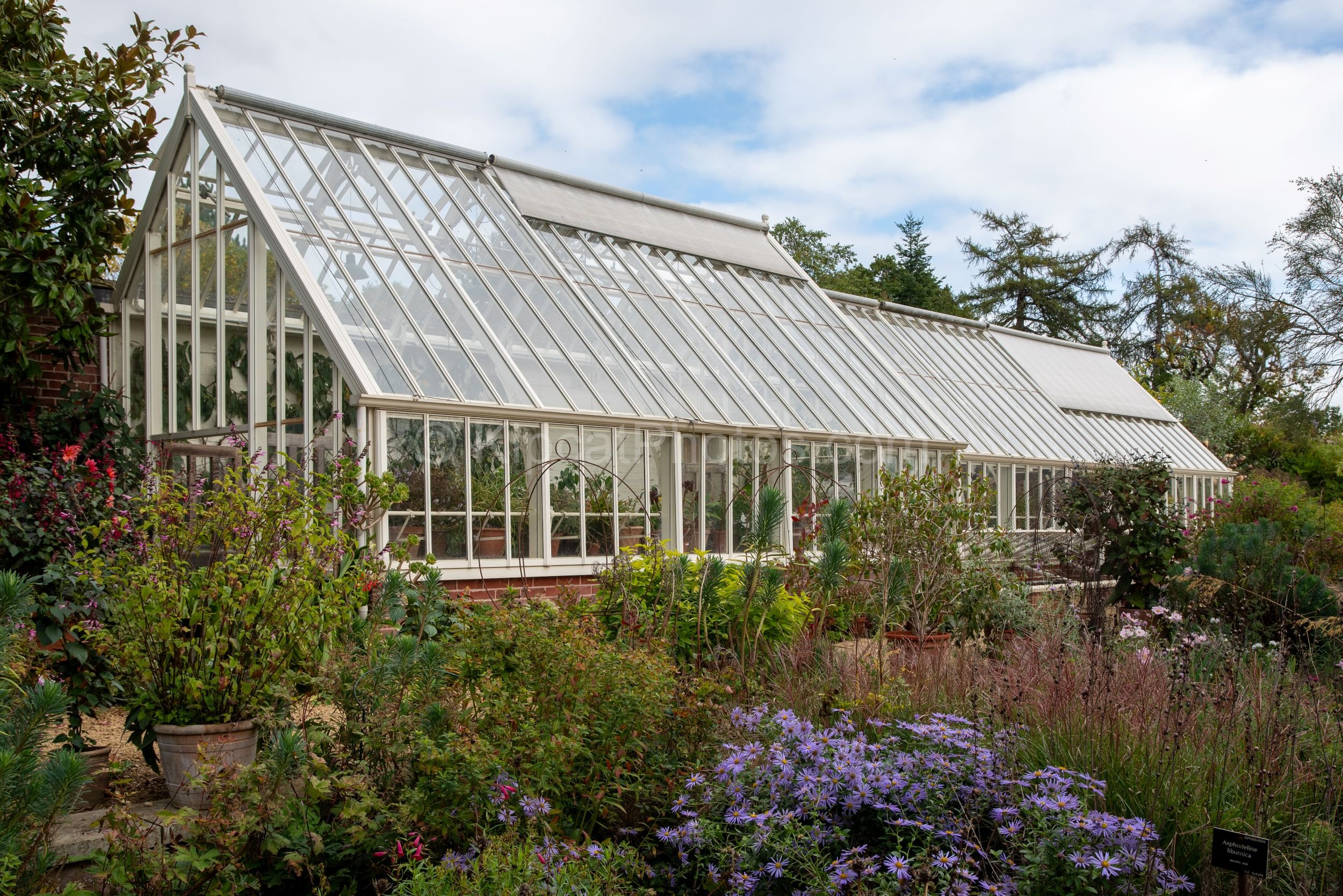 The large Victorian-style glasshouse at Broughton Grange, Oxfordshire, photographed from the walled garden with purple aster, red salvia and mixed perennial borders in the foreground. KipcatPhotos.com.

Broughton Grange's impressive Victorian-style g