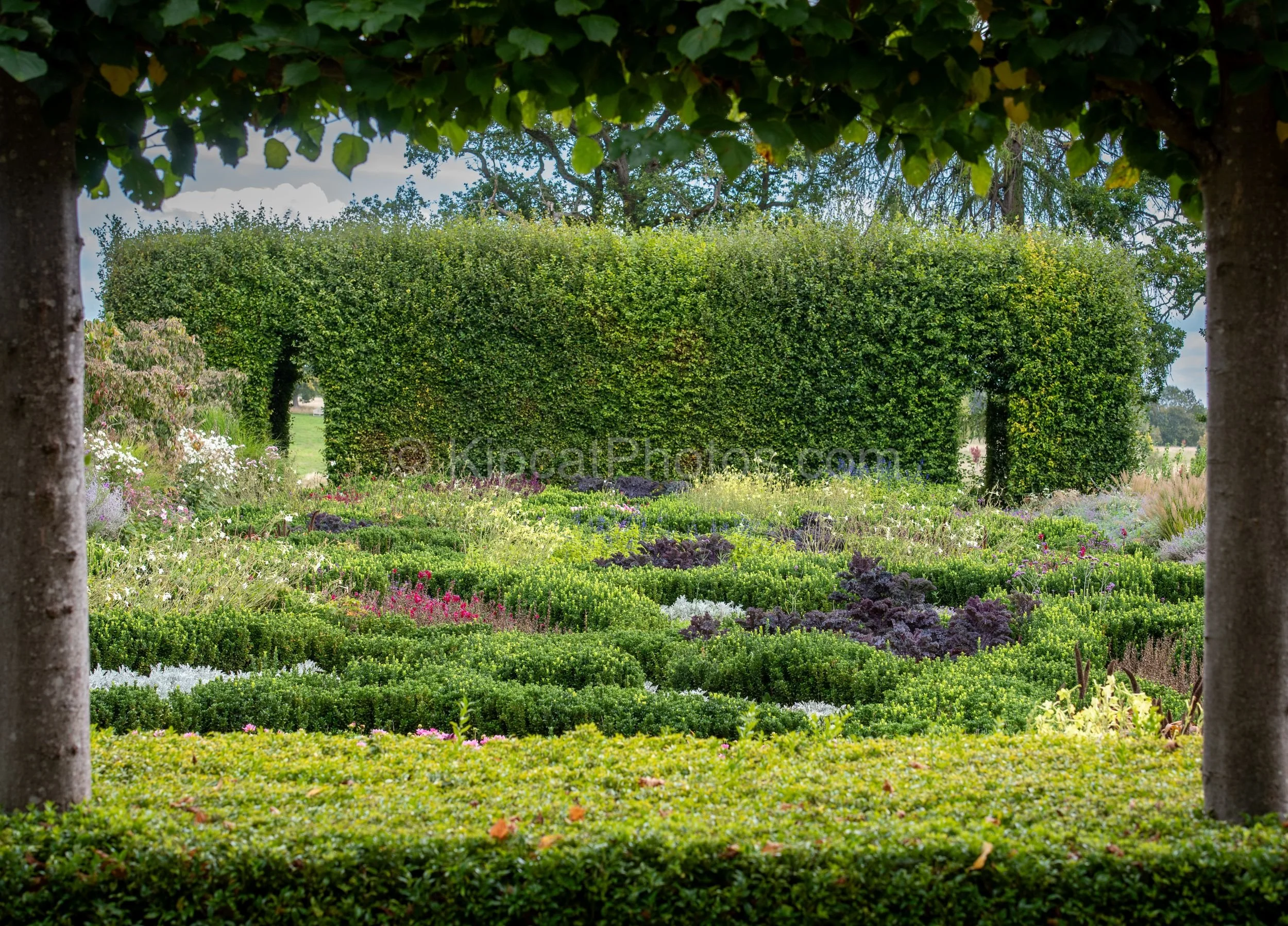 The parterre garden at Broughton Grange, Oxfordshire, viewed through the trunks of the pleached lime walk, showing the complex geometric box hedging, colourful seasonal planting and the boundary beech hedge with archways beyond. KipcatPhotos.com.

Fr