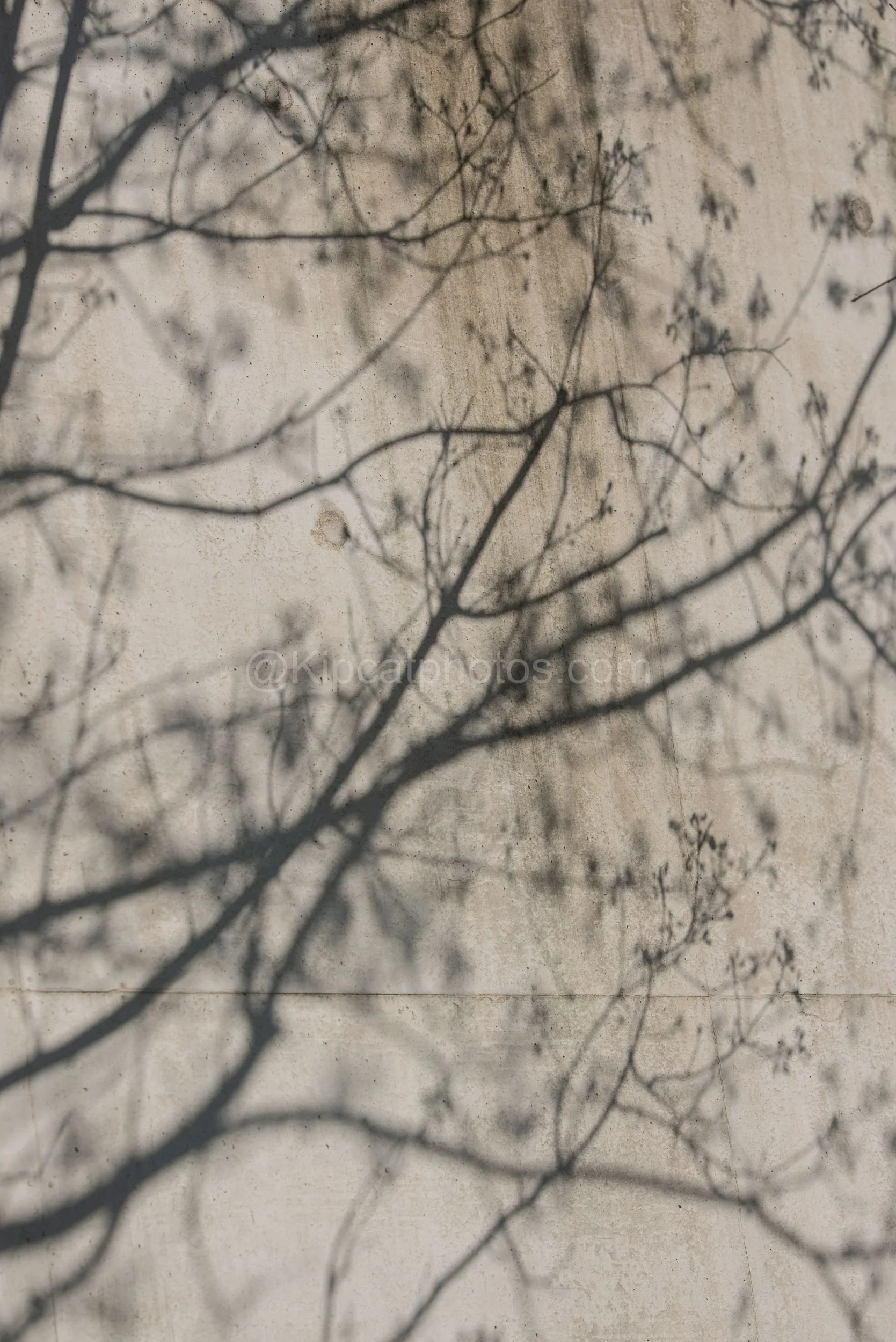 Hepworth Wakefied 14 Kipcatphotos.jpg