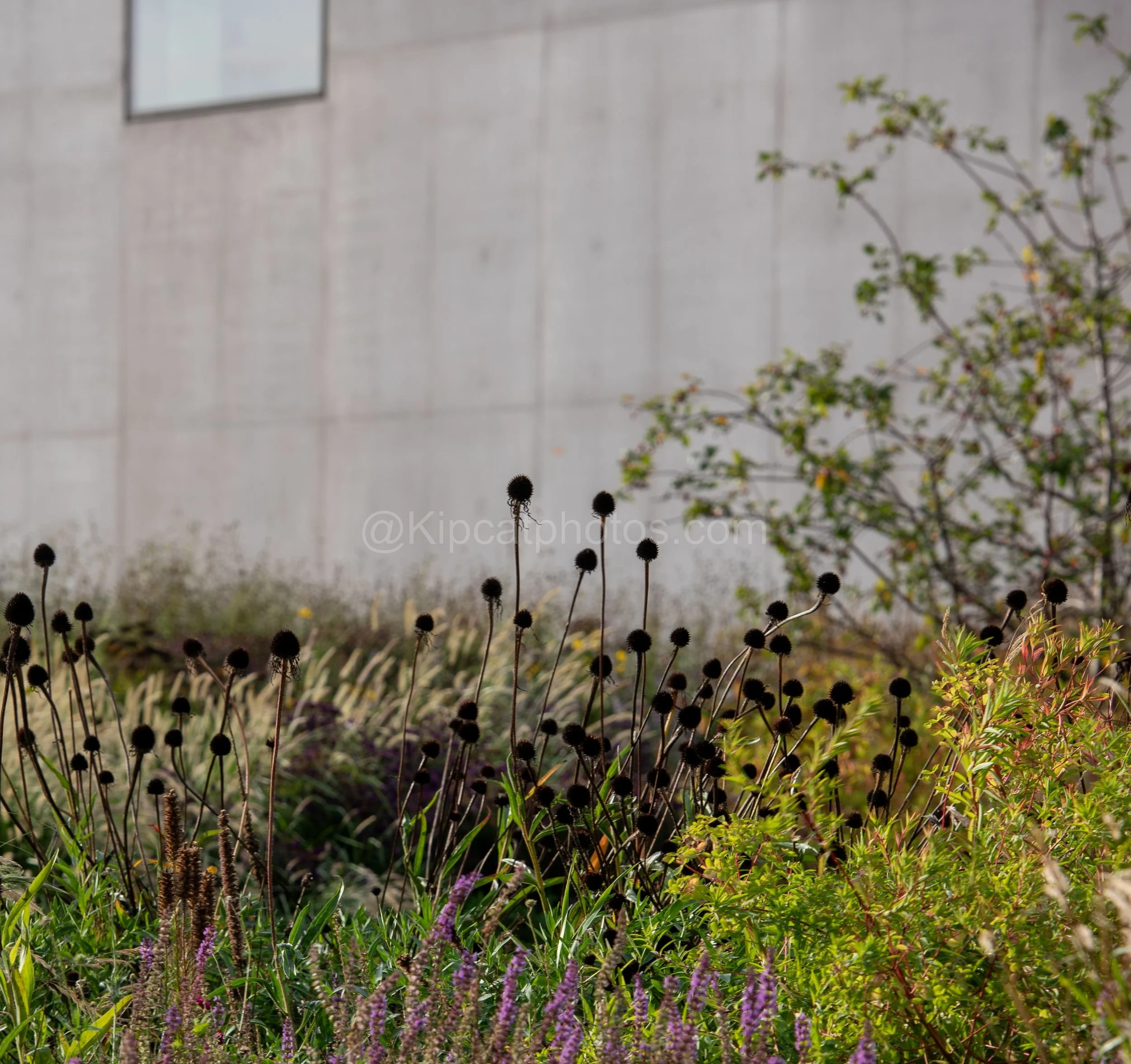 Hepworth Wakefied 28 Kipcatphotos.jpg