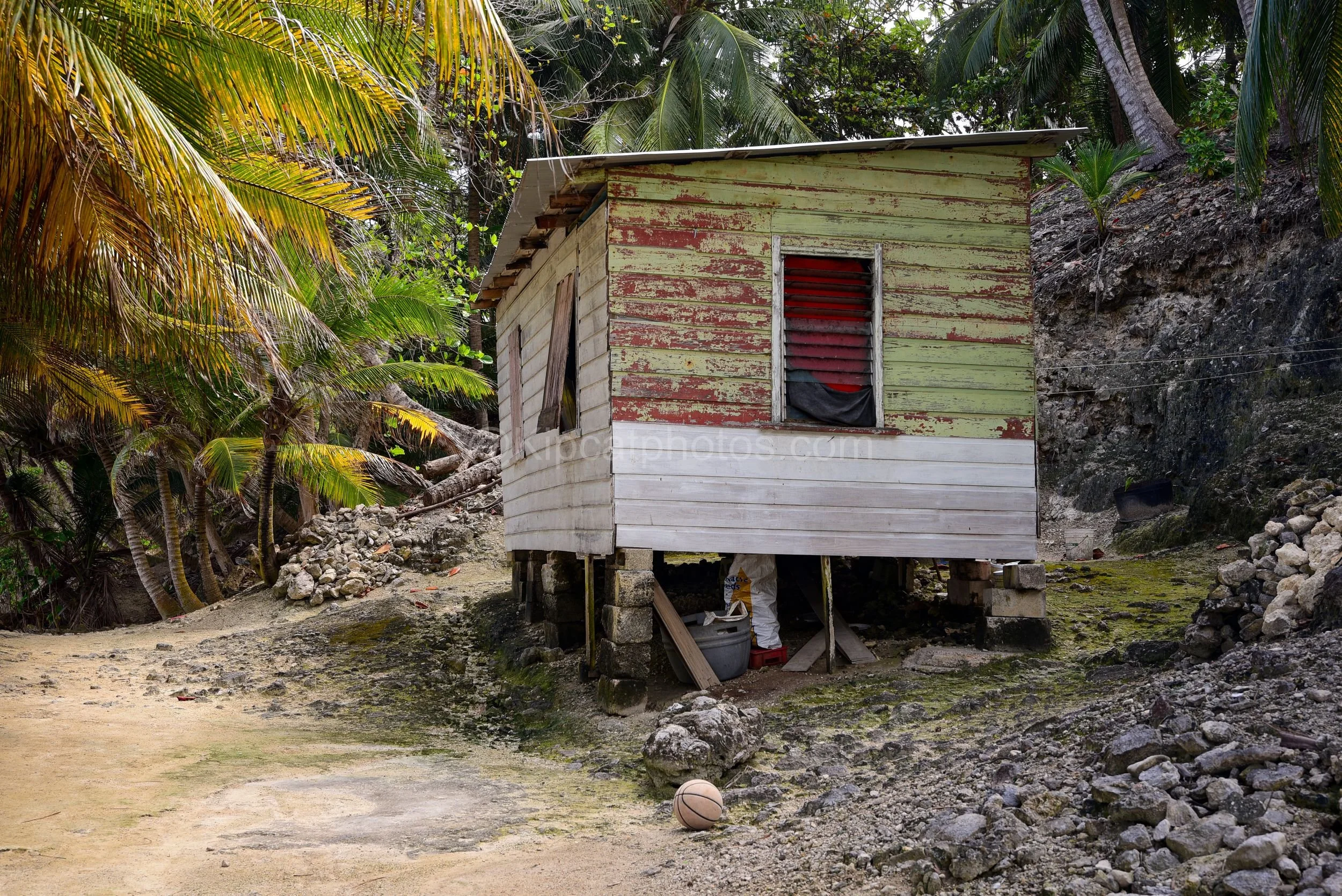 A small green and white chattel house on stilts in Barbados, surrounded by coconut palms. Kipcatphotos.com

Tucked beneath a canopy of coconut palms, this small green and white chattel house sits raised on coral stone piers, its peeling paintwork and
