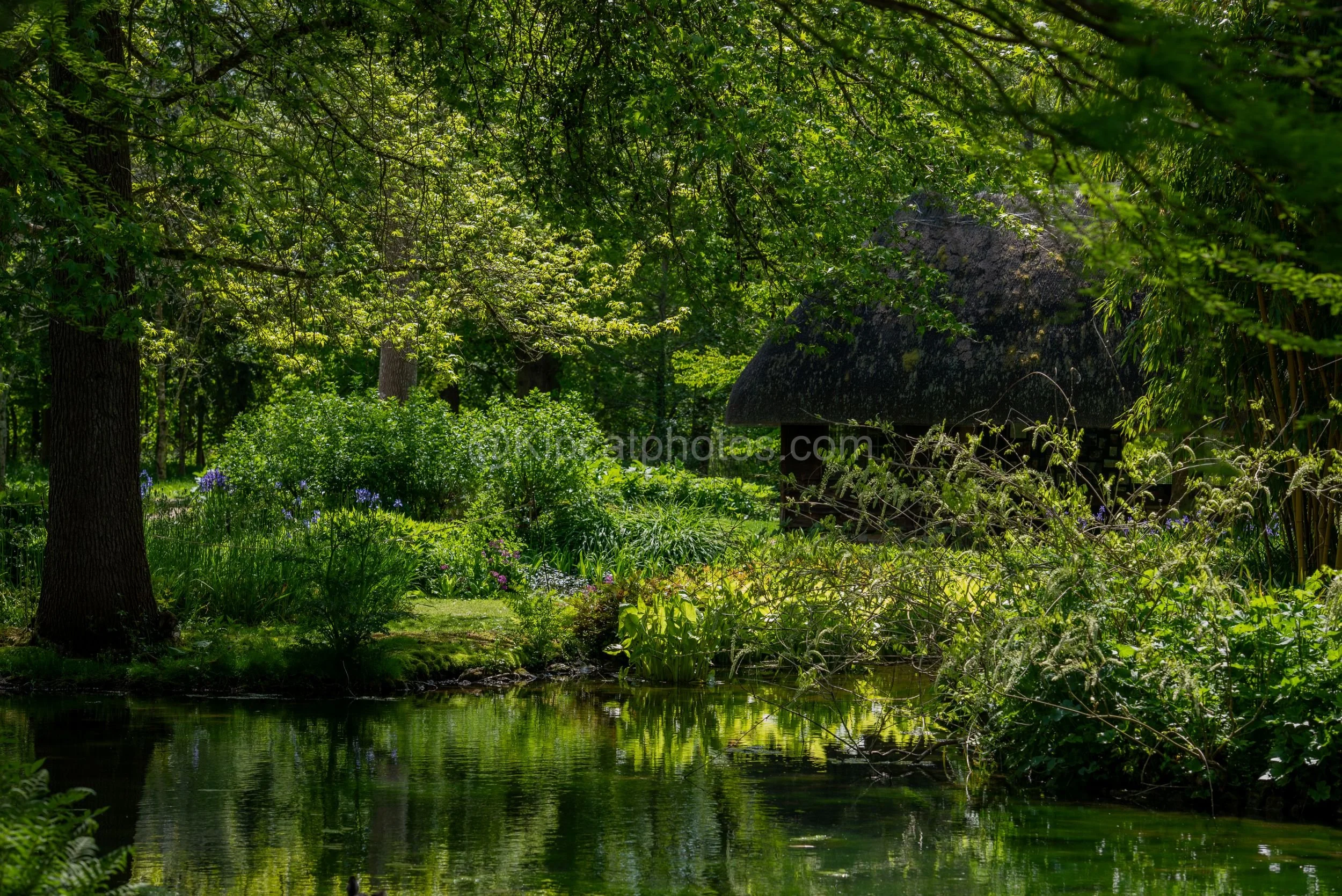 Longstock Water Garden 9 Kipcatphotos.jpg