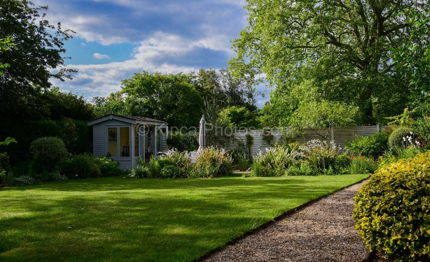 A wide sunny view of a Berkshire garden in early summer, with a grey summerhouse, mixed flower borders, a gravel path edged with golden box balls, and mature trees under a blue sky with clouds. Kipcatphotos.com.

Under a glorious English summer sky, 