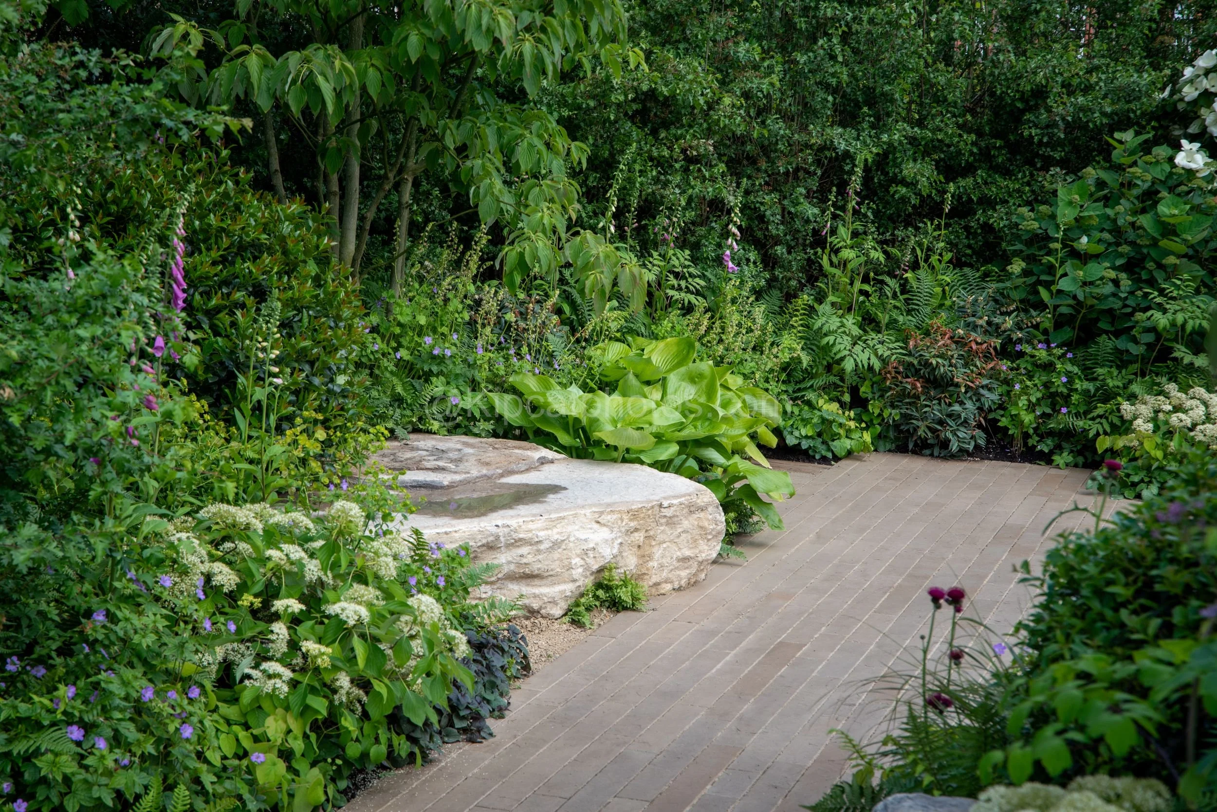 Paved path curving past a raw stone bench and hostas in the Rob Hardy & Co garden at RHS Chelsea Flower Show 2026

A paved path curves past a large raw stone bench surrounded by hostas, foxgloves and ferns, leading into a lush woodland-style planting