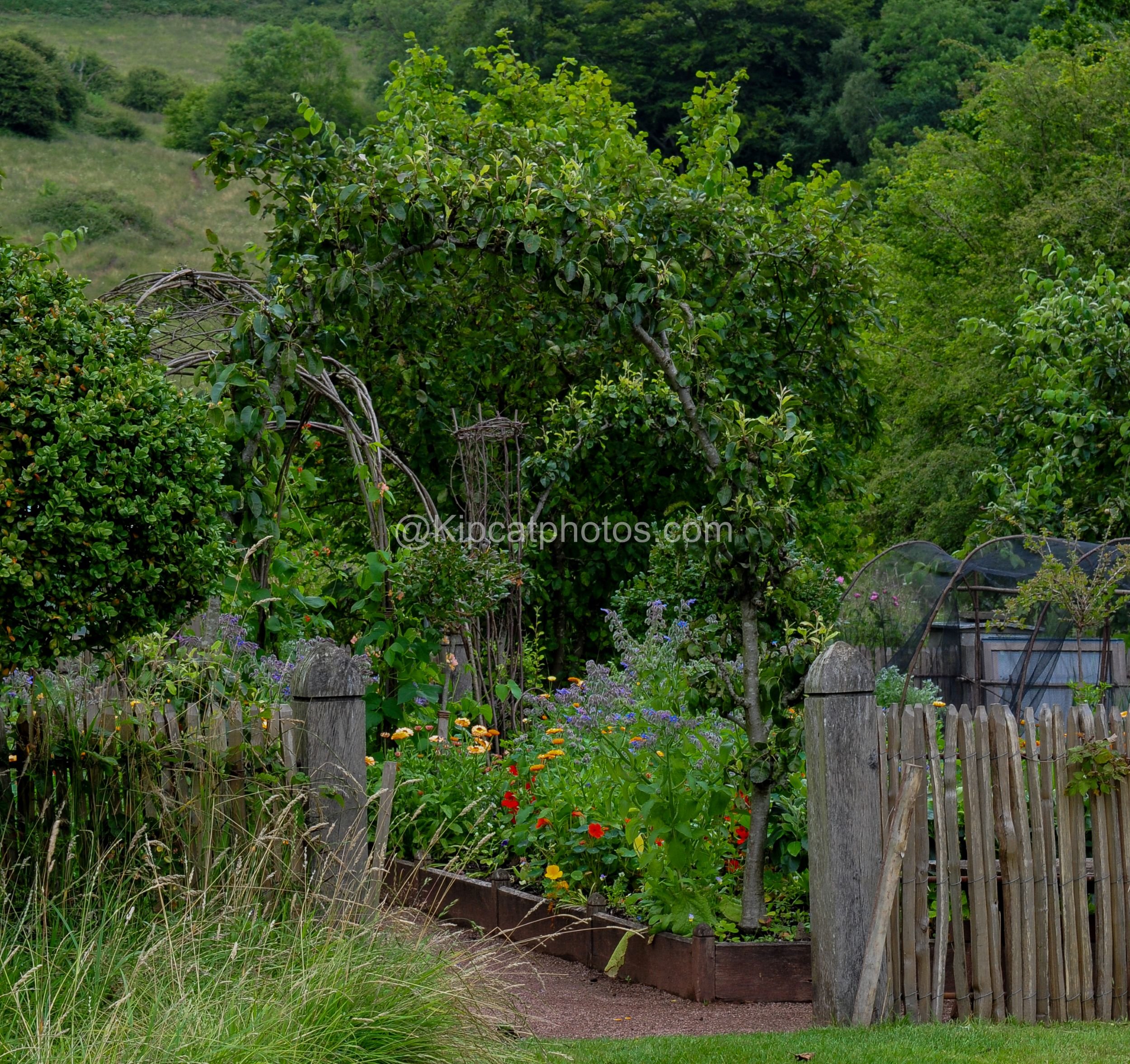 allt-y-bela-kitchen-garden-gate-flower-borders.jpg.jpg