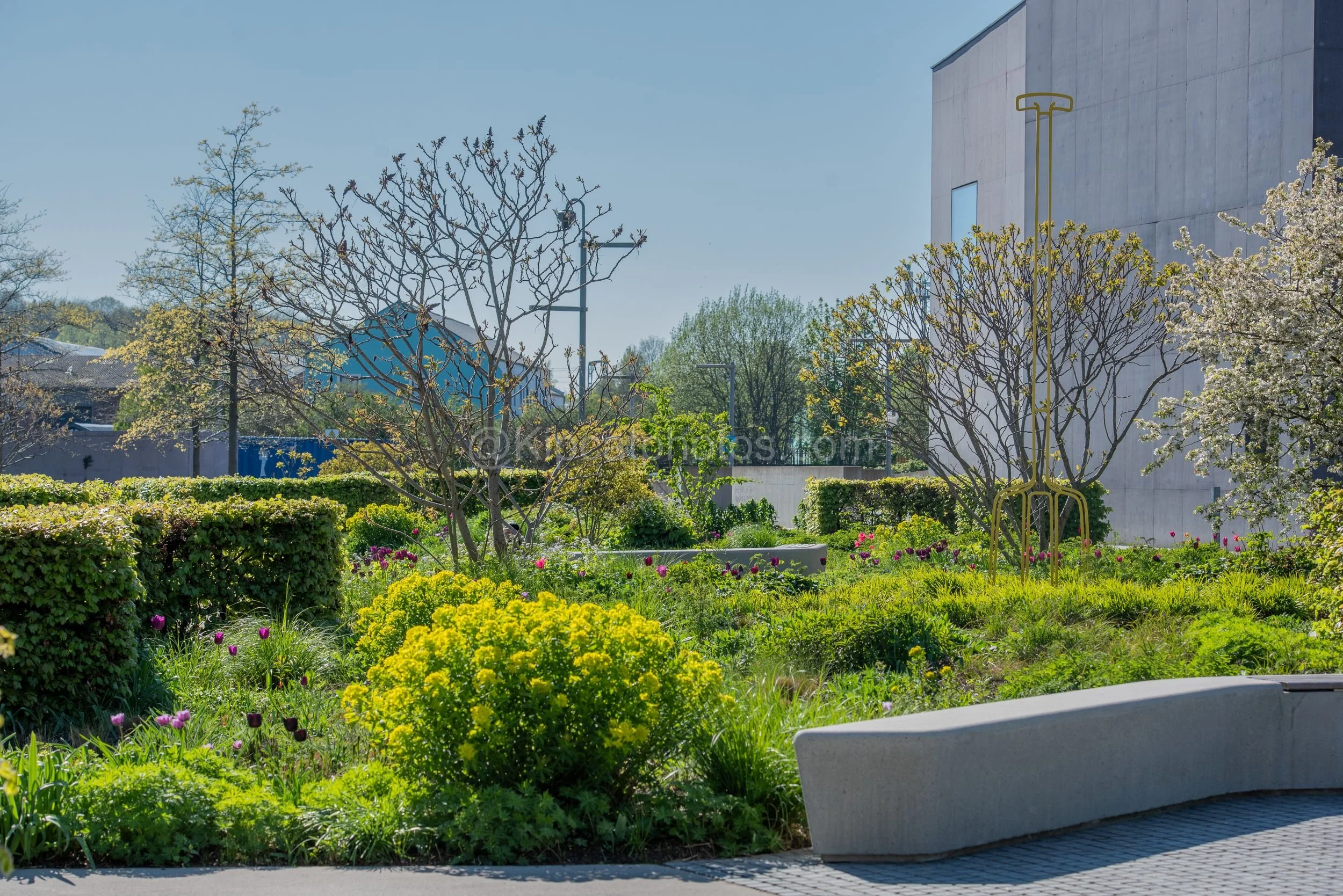 Hepworth Wakefied 15 Kipcatphotos.jpg